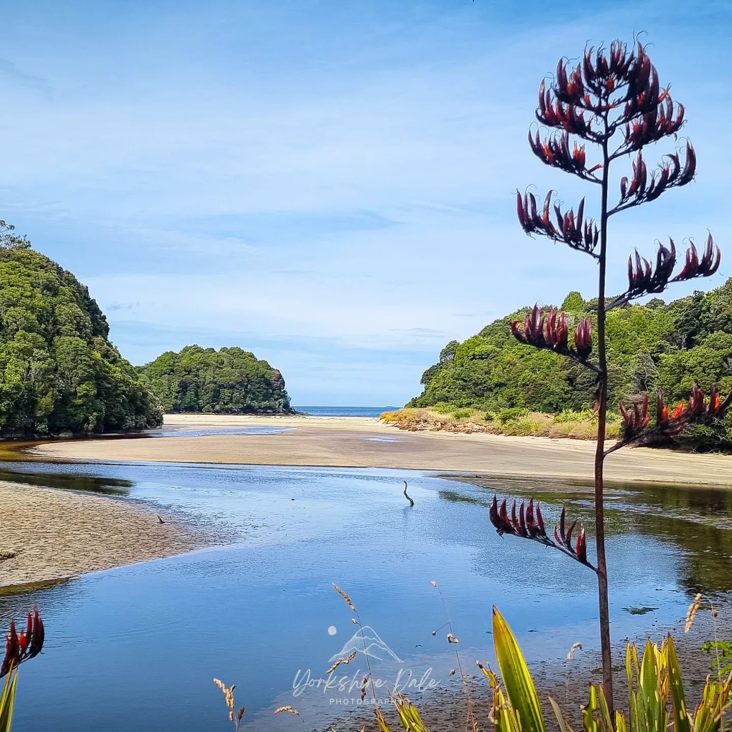 Summer vibes
#oban
#summer
#summervibes
#stewartisland
#nikon
#nikonnz
#nzgeo