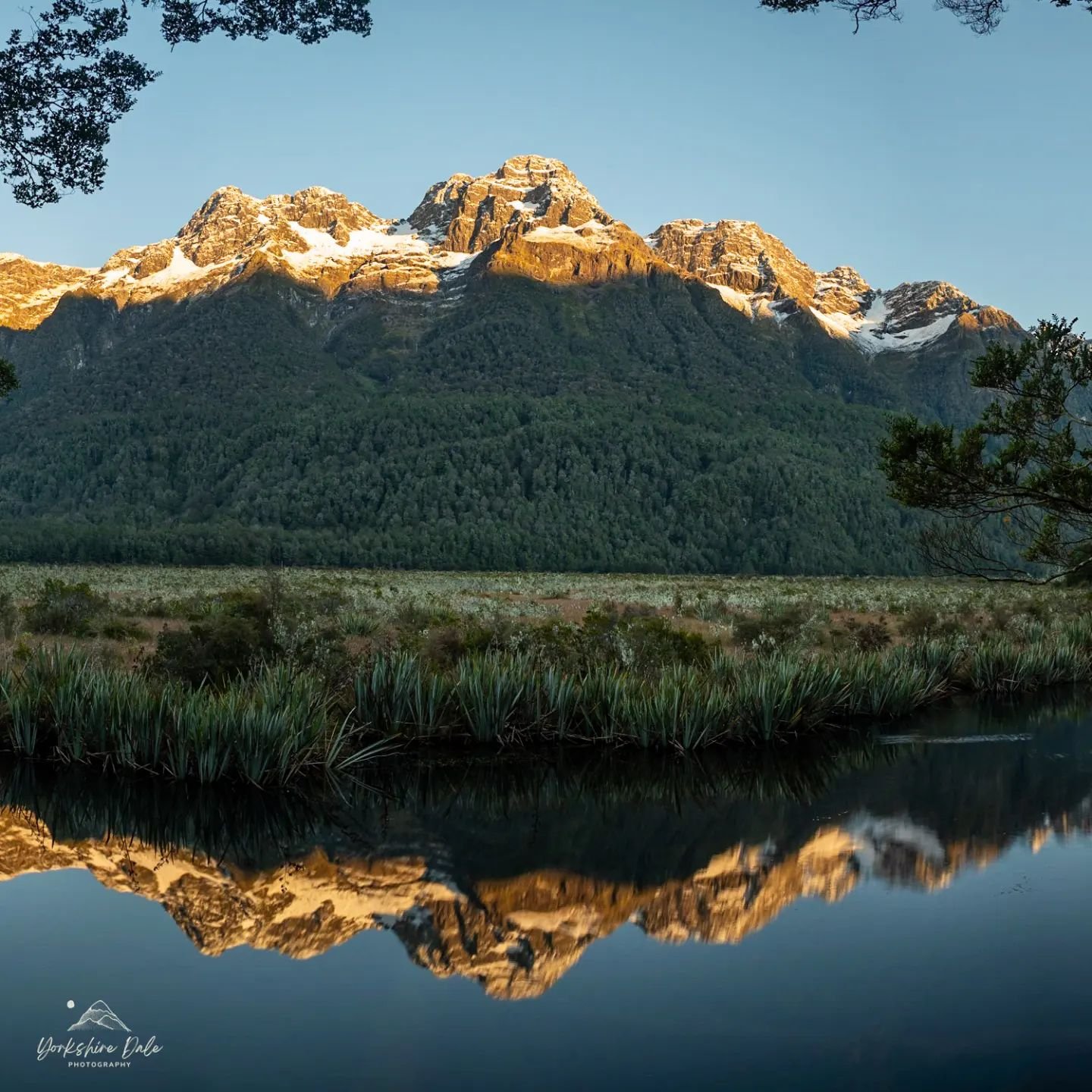 "Wow what a place! Even people with crooked necks can see the view here" - I overheard some stranger at Mirror lake say 😂
She had a point!
#mirrorlake #fiordland #mirror #mirrorimage #reflections #mountains #nzgeo #nztourism #southisland