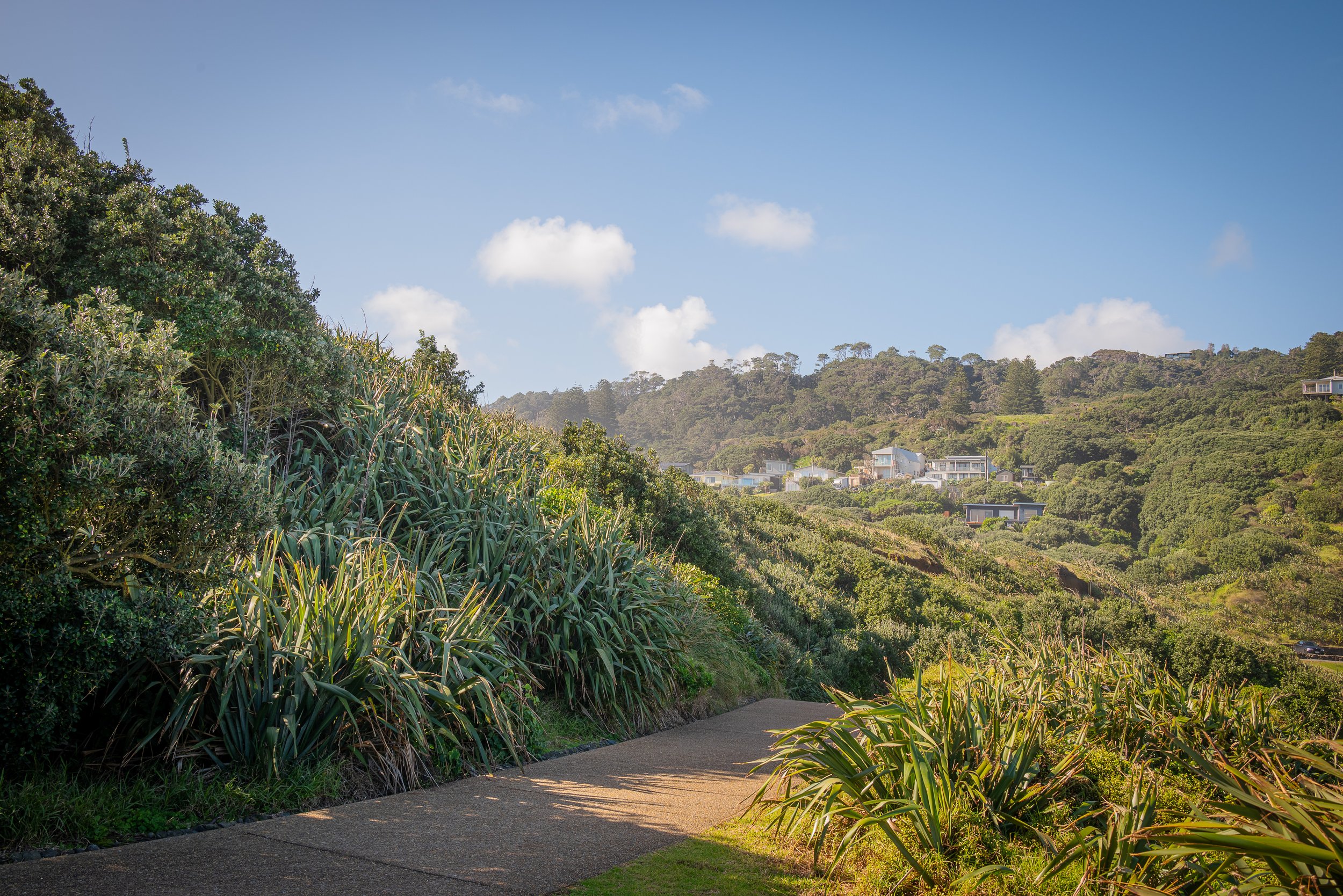 Scenic view of a nature path with lush green vegetation and distant houses on a hillside under a blue sky with clouds.