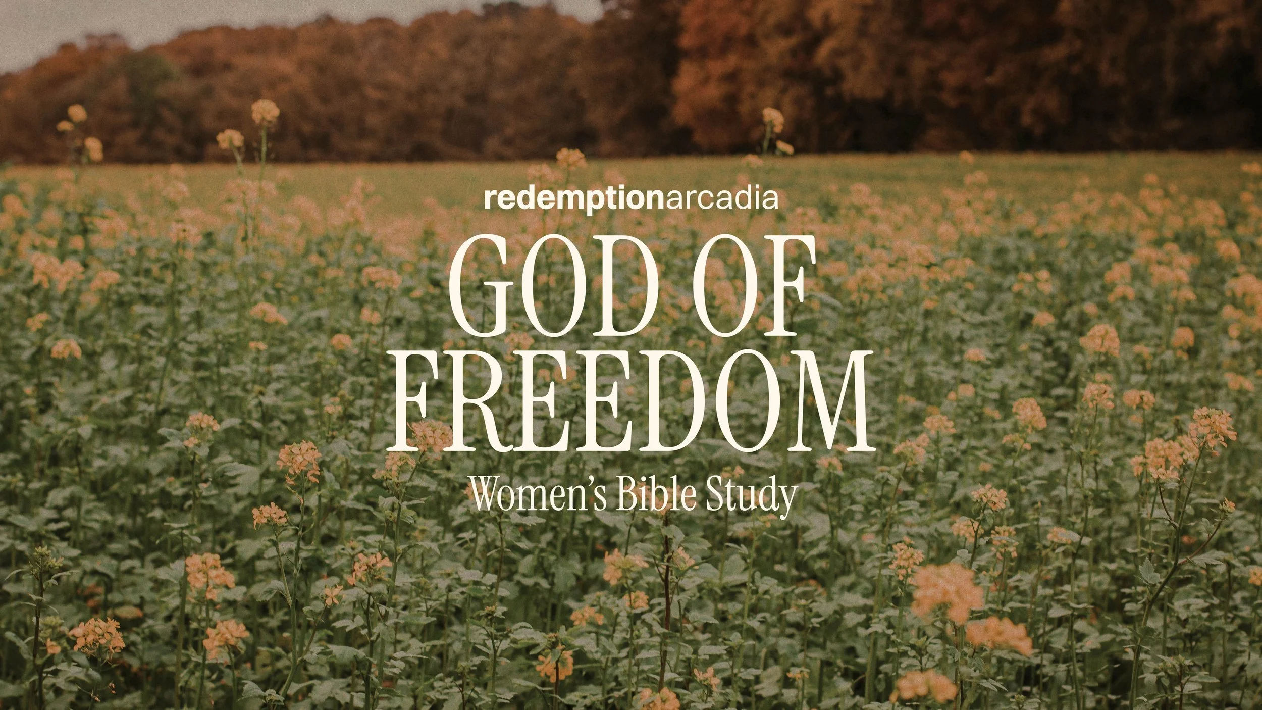 Winter/Spring Women’s Bible Study: God of Freedom