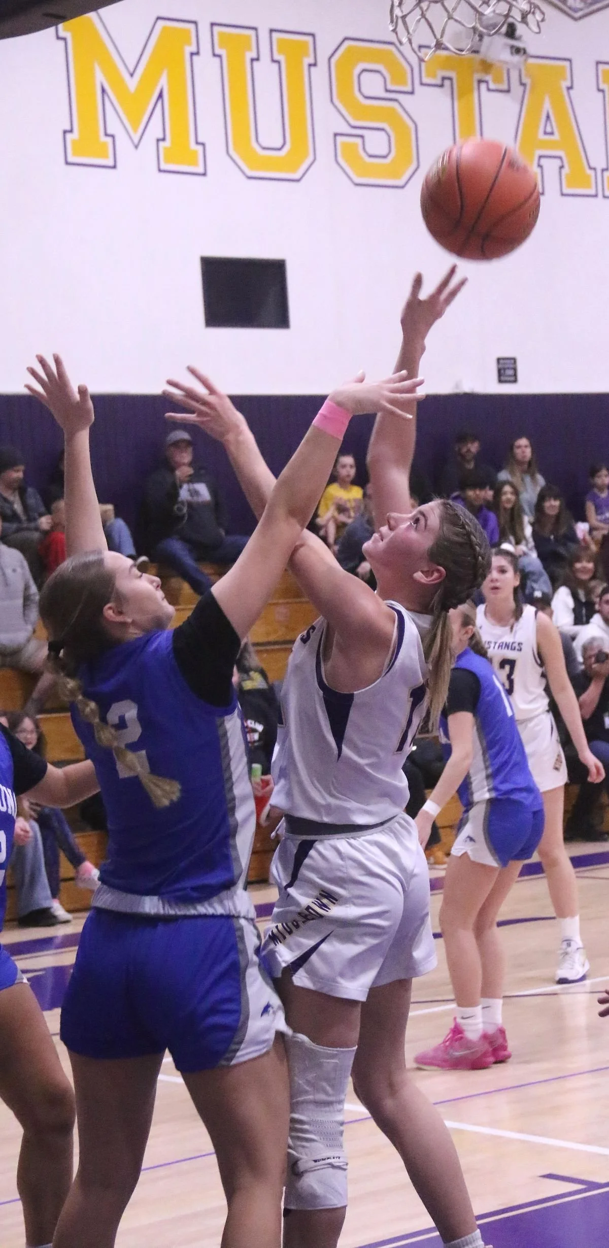 gbasektball2.jpg