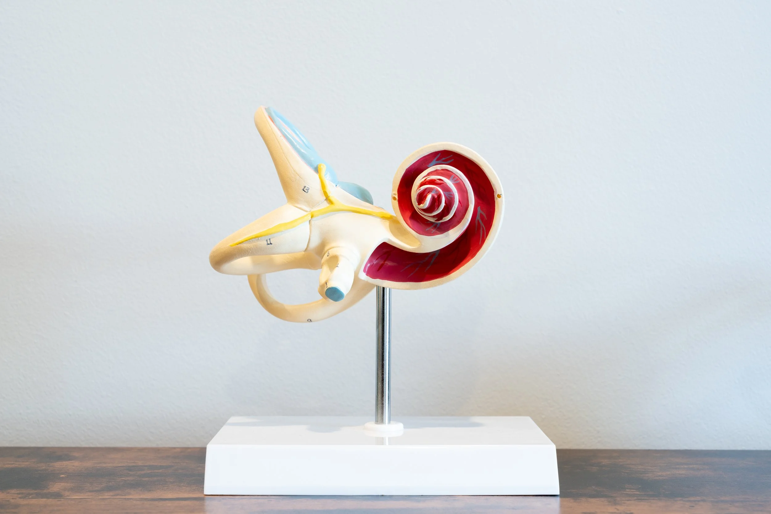 6 Common Vestibular Migraine Triggers You Might Not Realize