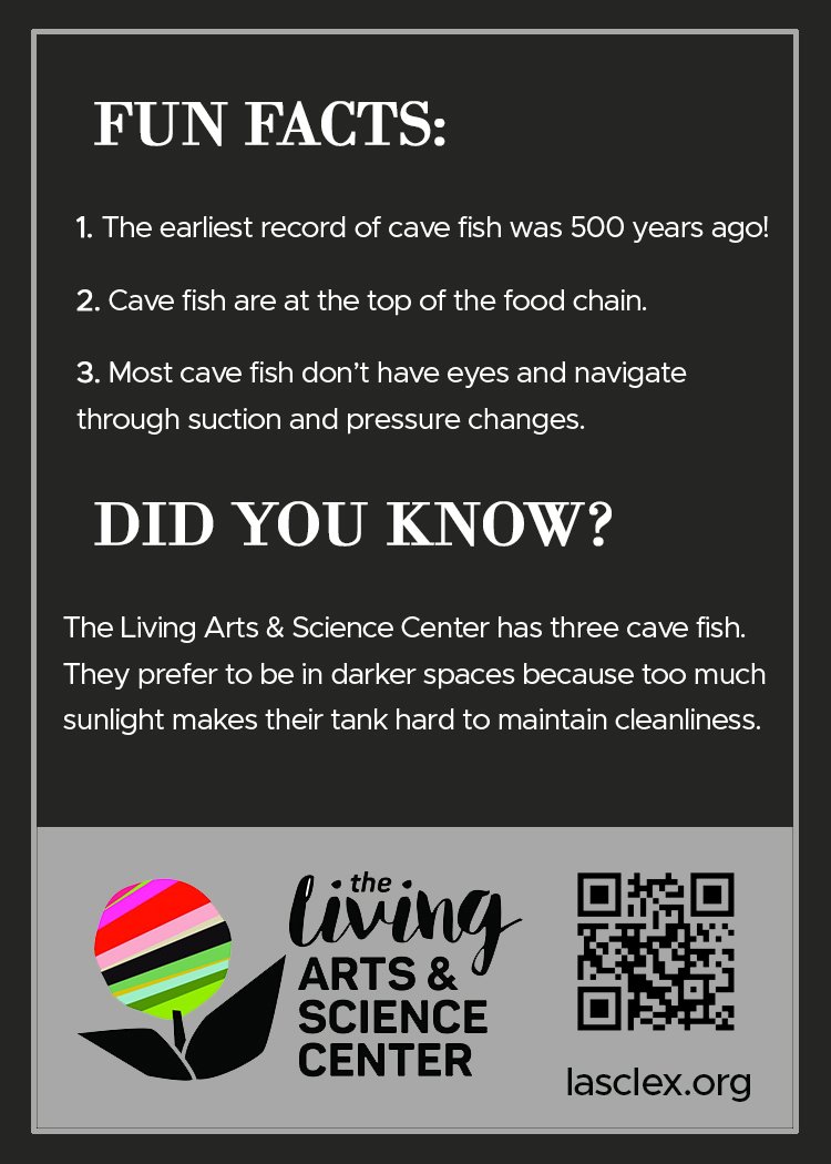 cavefish_back.jpg