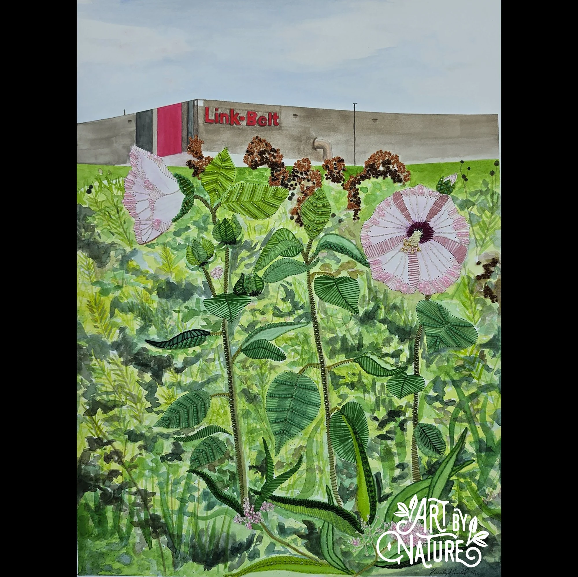 Kimberly Hubbard_1_Swamp Rose Mallow.jpg