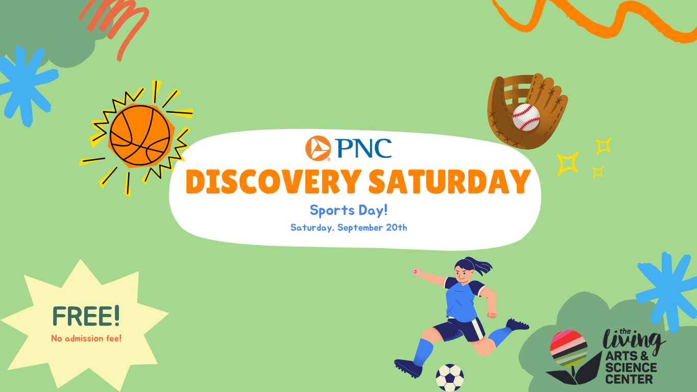 Discovery Saturday - Sports!