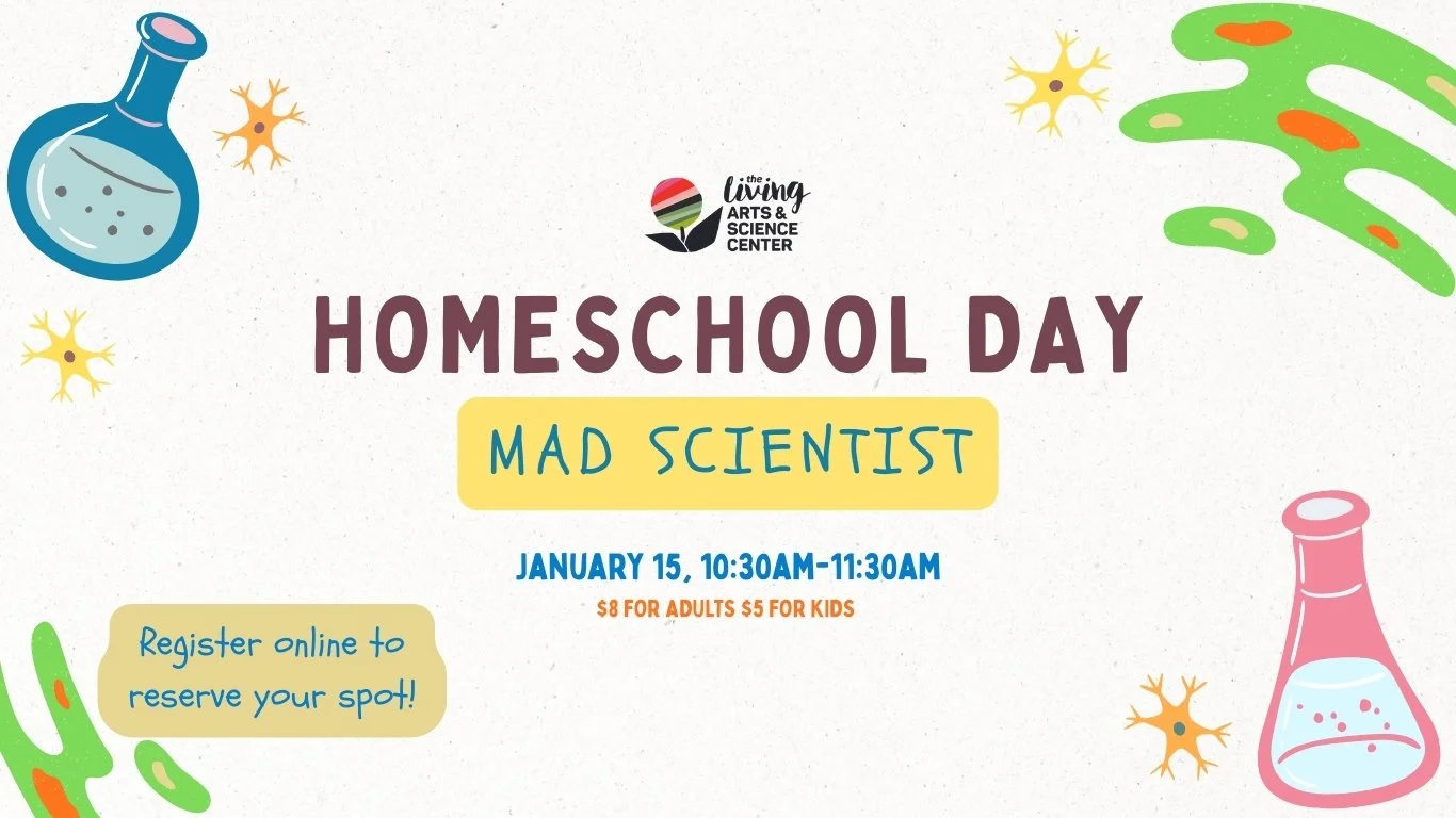 Homeschool Day | Mad Scientist