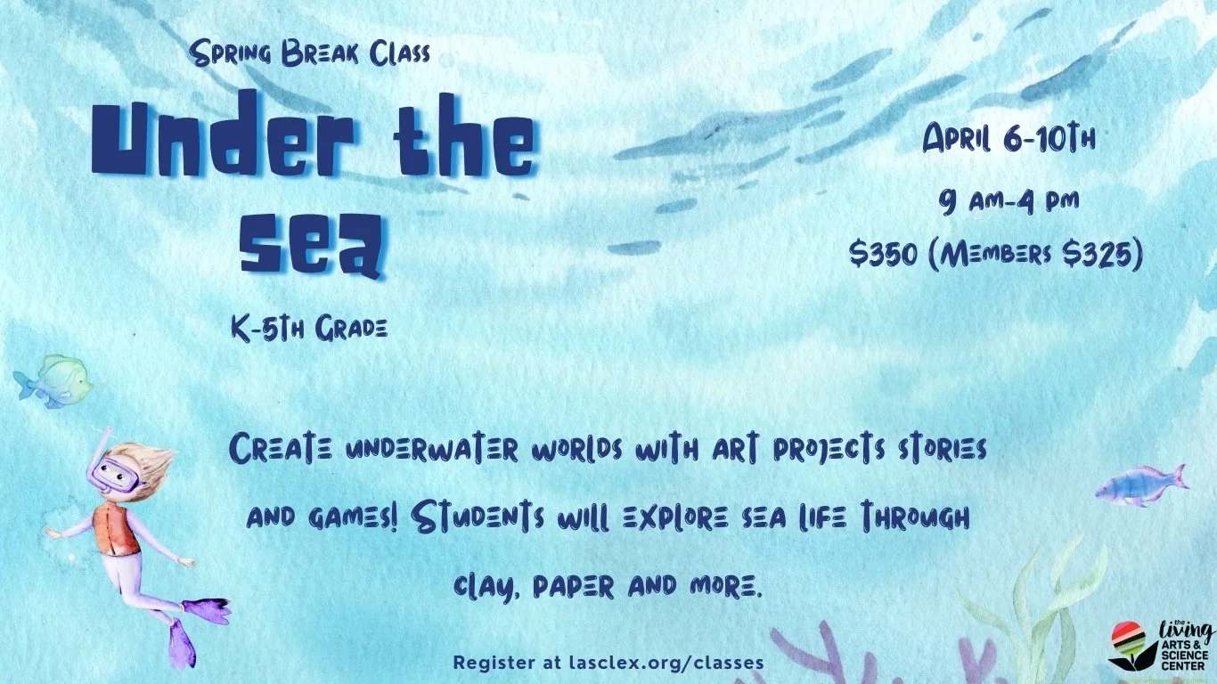 No School Day Class | Under The Sea