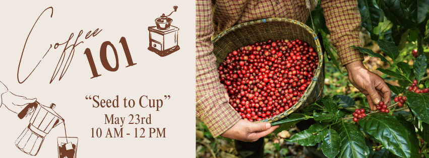 Coffee 101: Seed to Cup