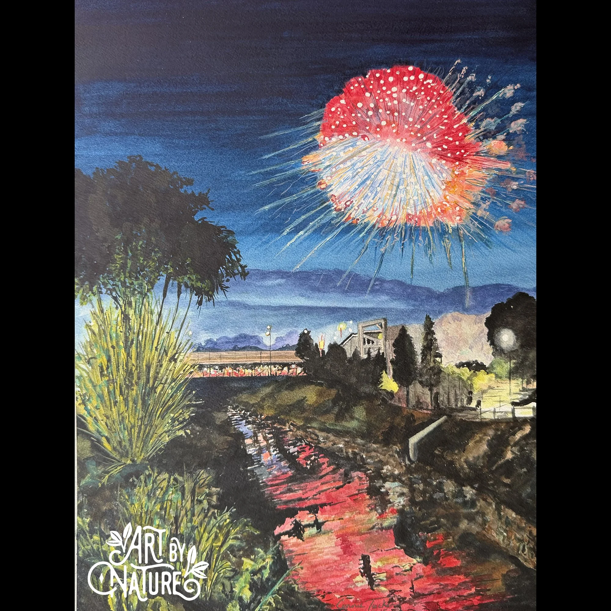 Connie Tucker_1_Fireworks.jpg