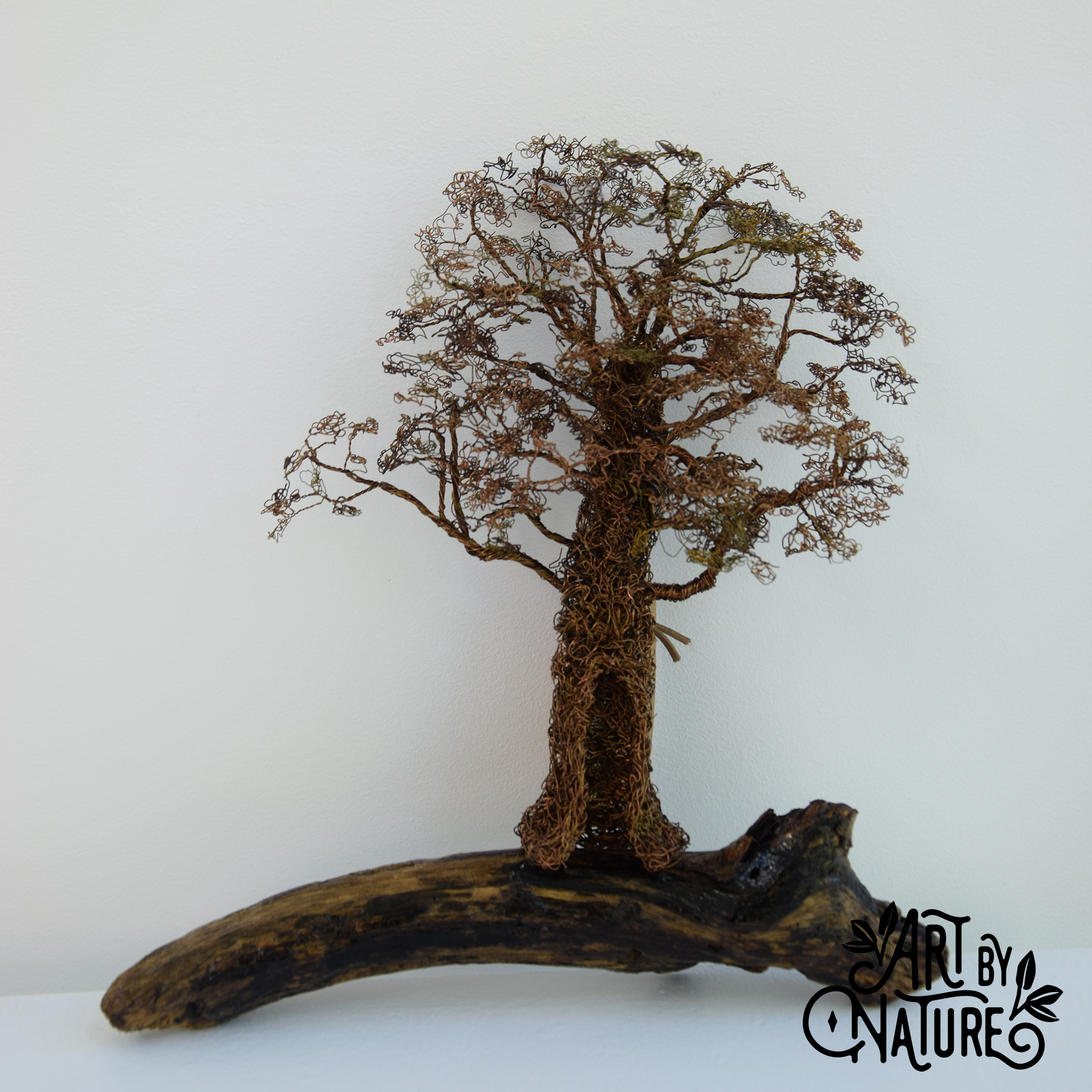 Amy Hoffman_1_Drifting Through Ashland.png