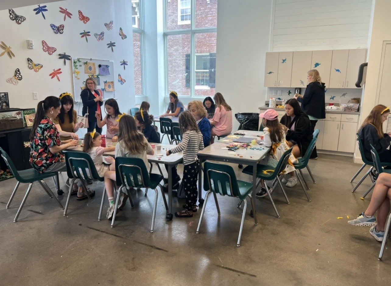 image_6487327 (2).JPG