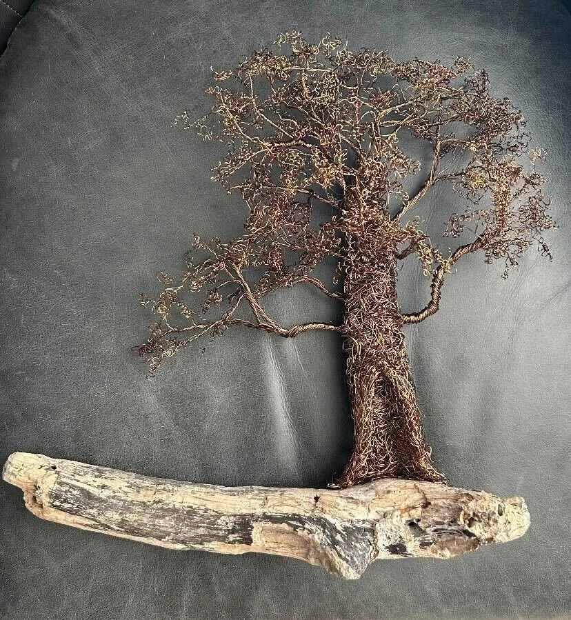 Amy Hoffman_1_Rooted in Wire.jpg