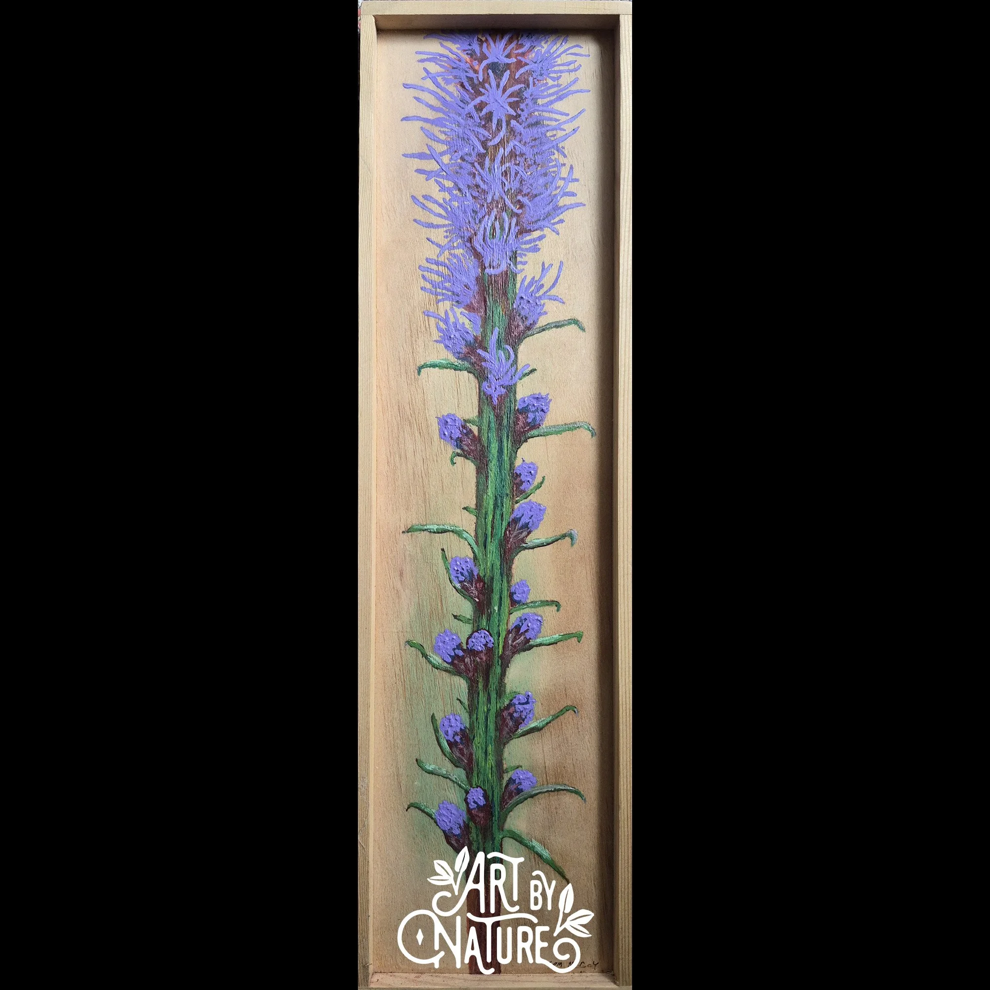 Thomas Mccoy_1_Liatris Study.jpg