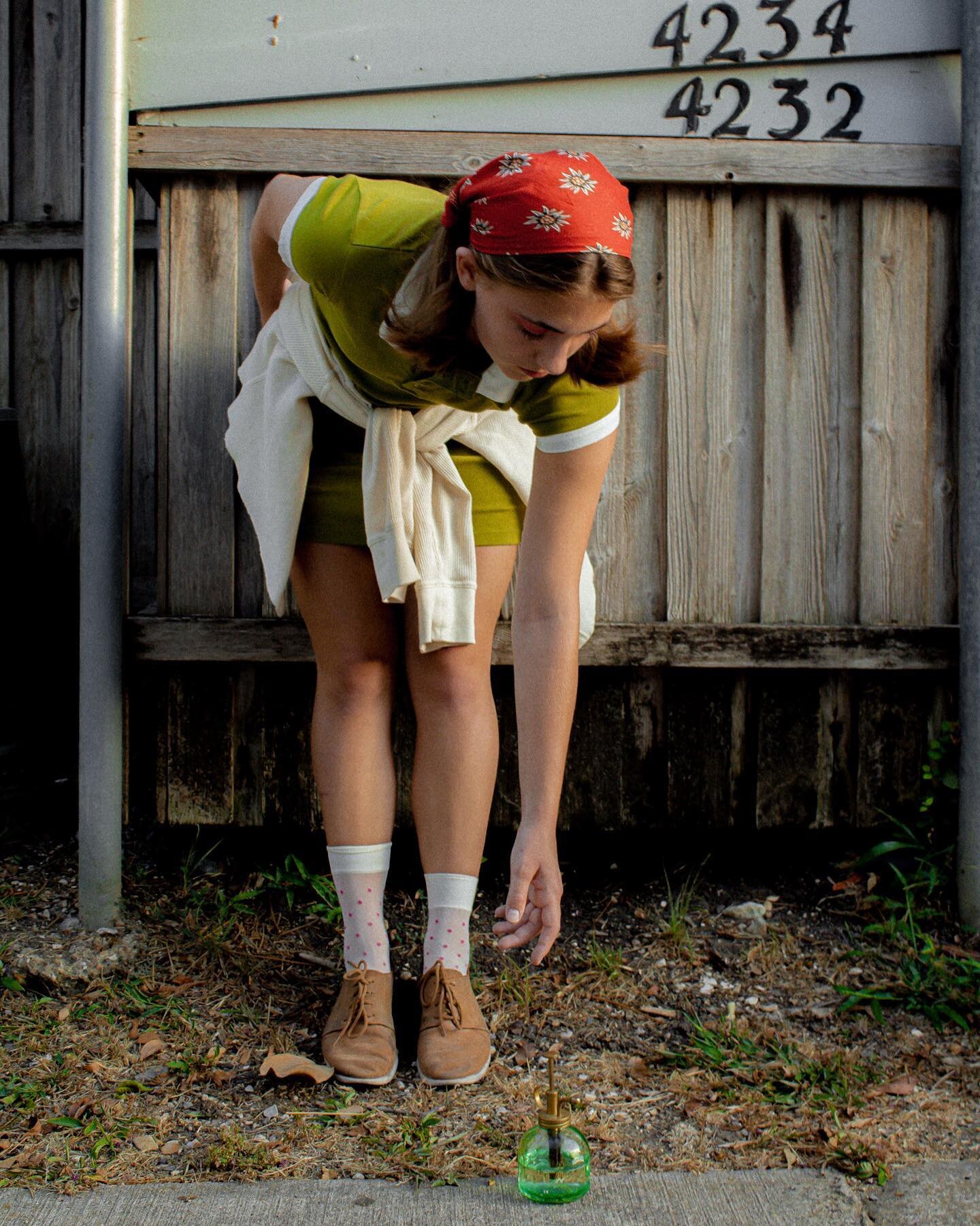 Alley cat but without the cat