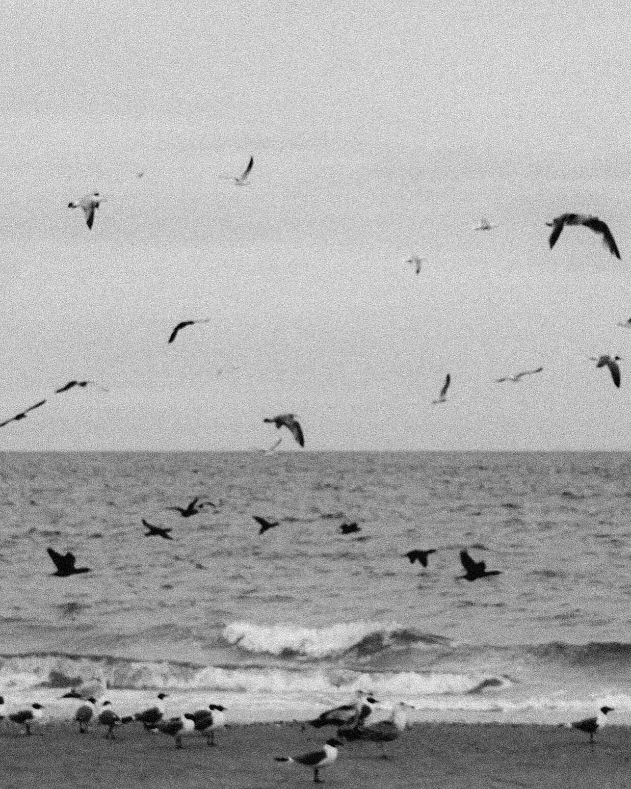 Not here but I dreamed I was here - rather odd dream really but I won&rsquo;t bore you with it