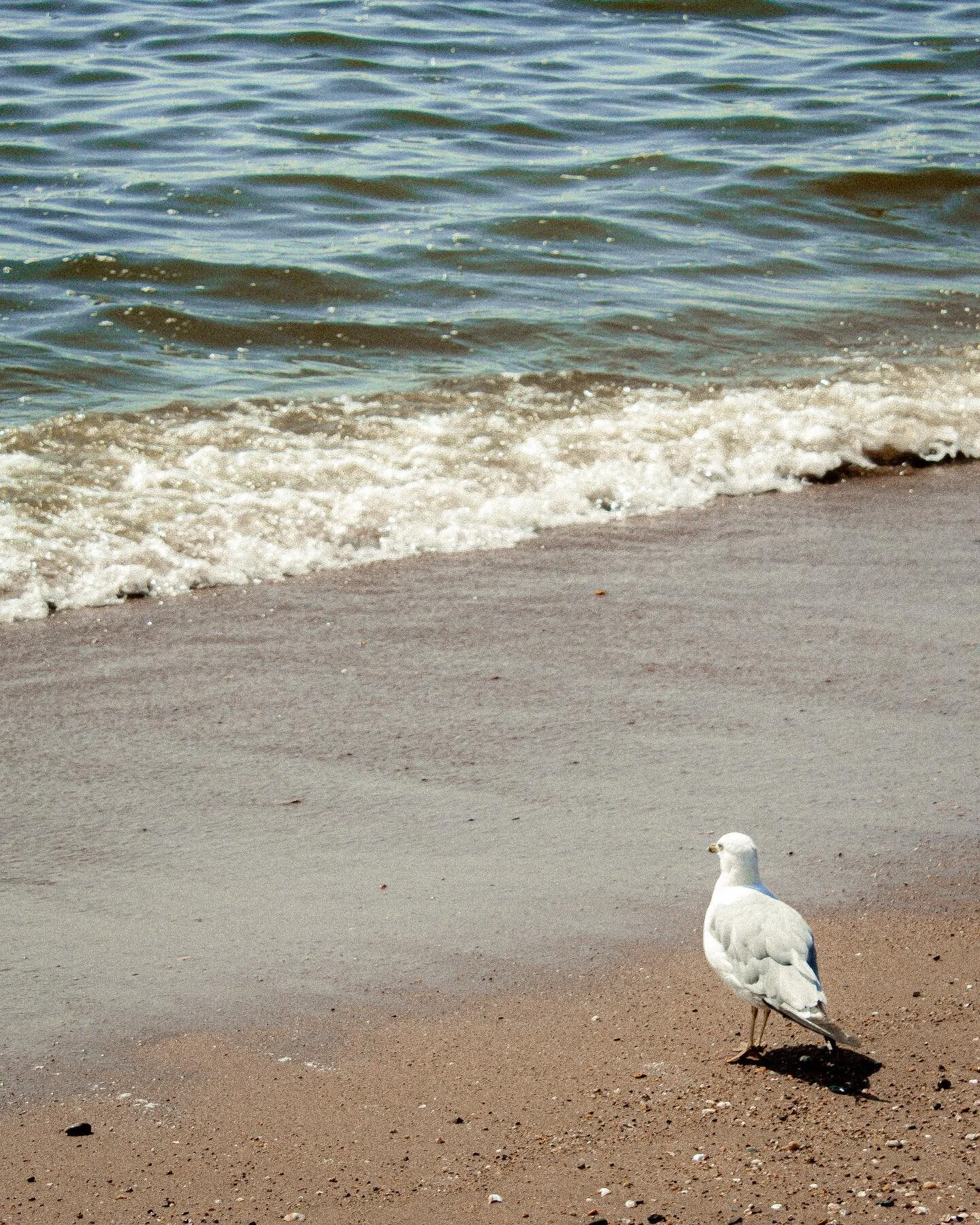 Should I stay or should I go now