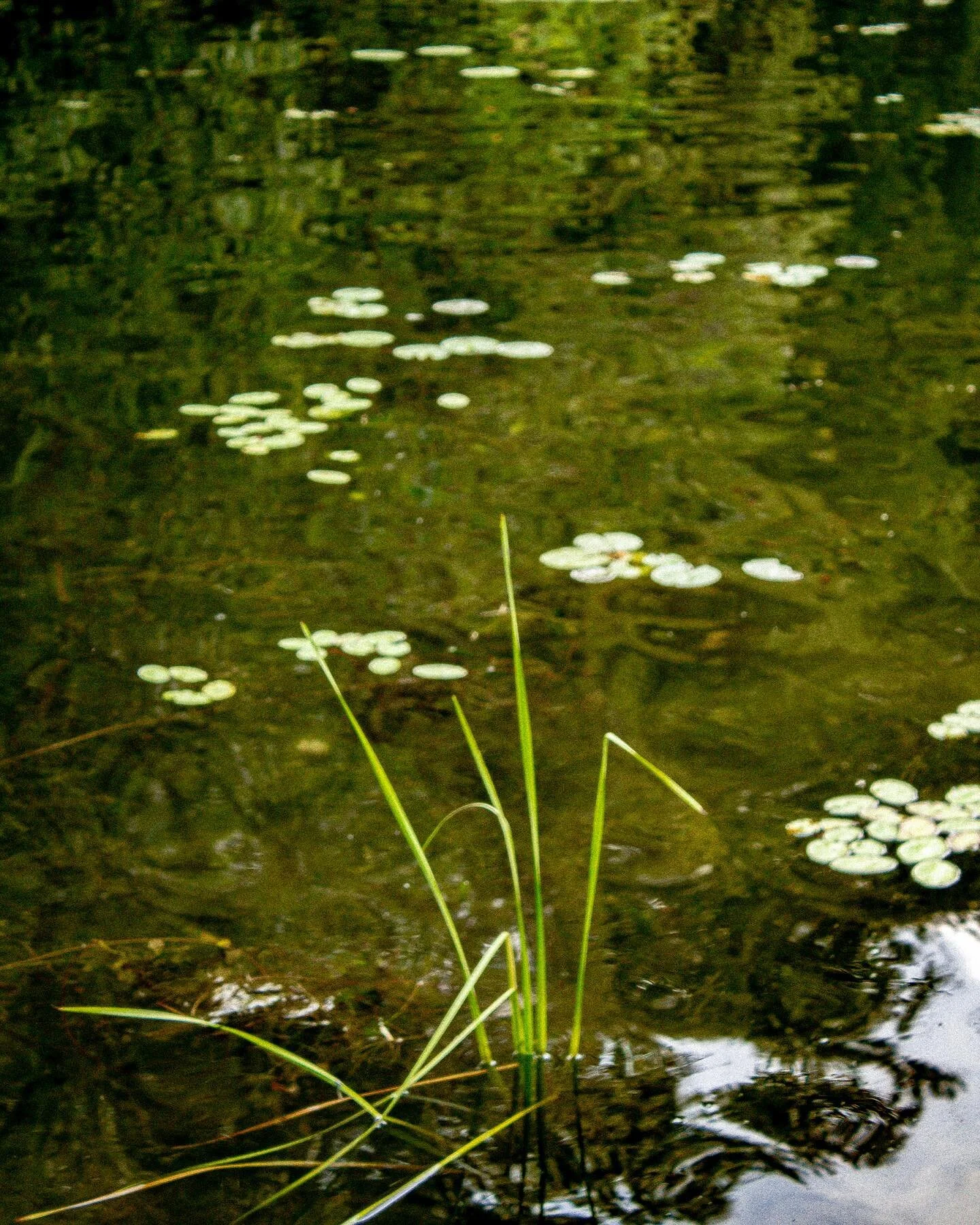 Remember when we used to play leap frog?