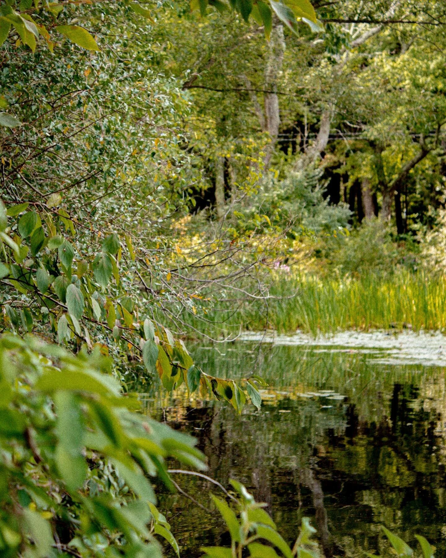 Take me to the lakes @francescanaugle