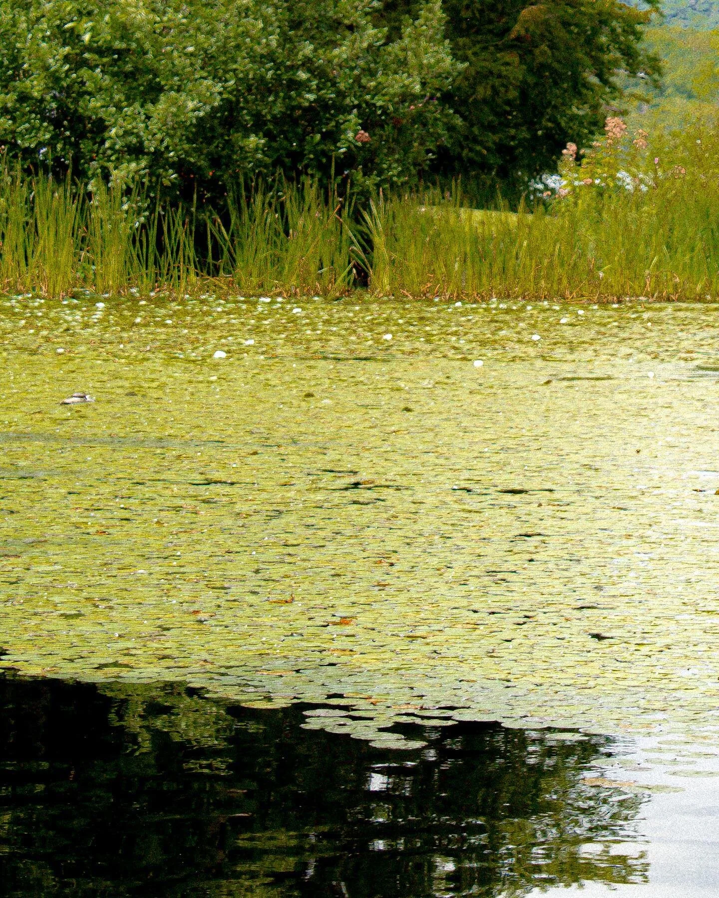 Now that it is September&hellip; can we say goodbye to summer?