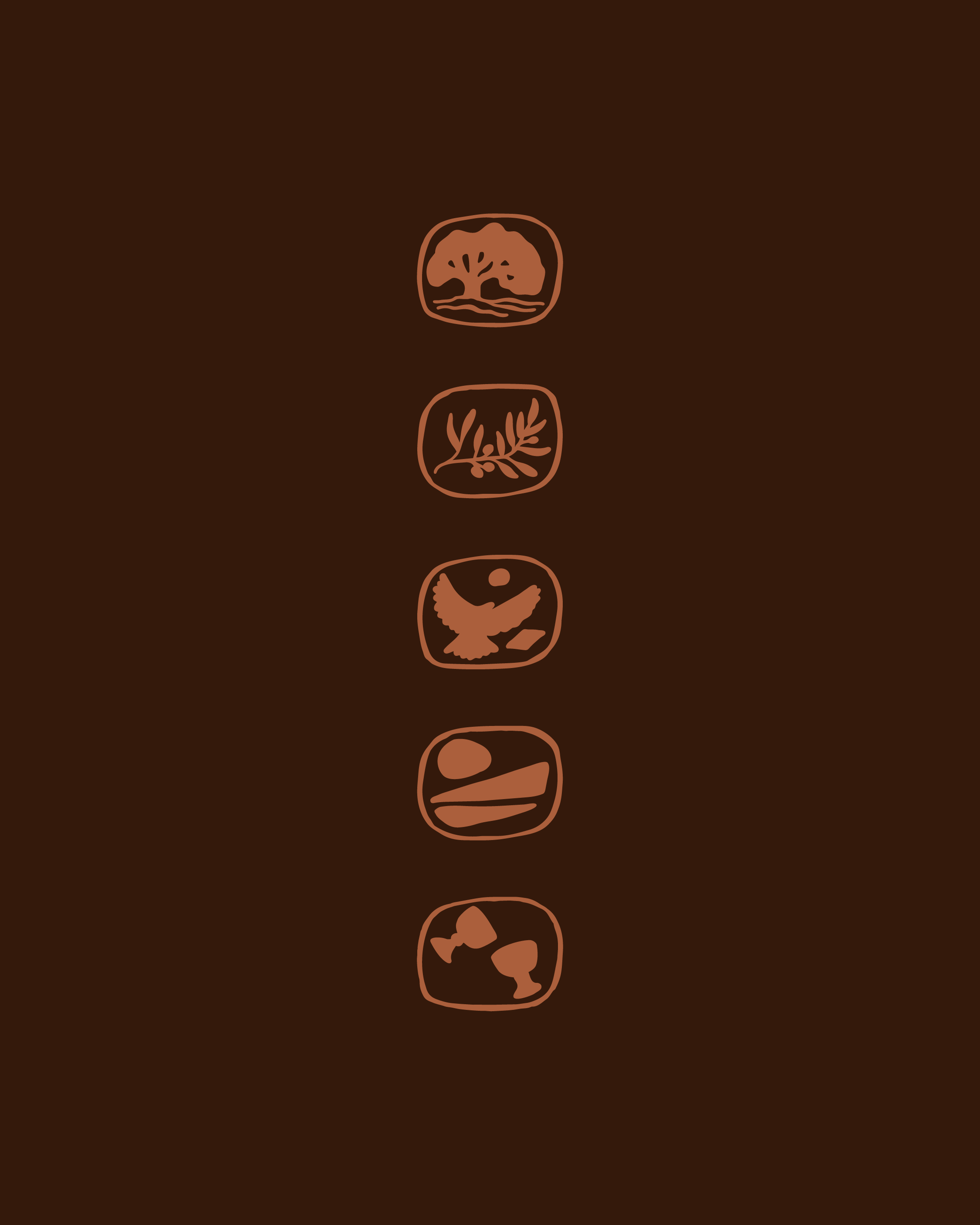 pp-social-ecosystem_SecondTeaser-1-31.png