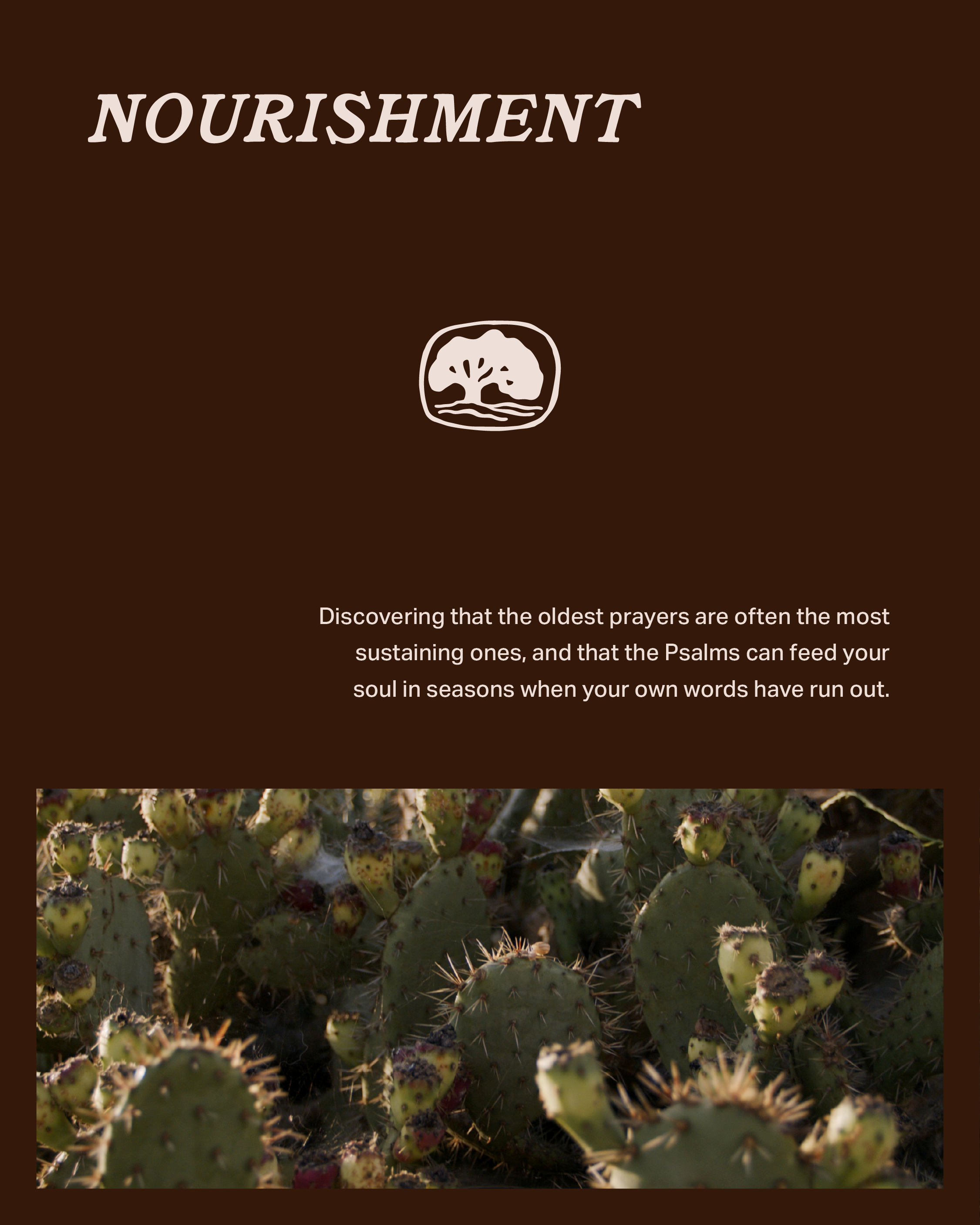 Nourishment-2.png