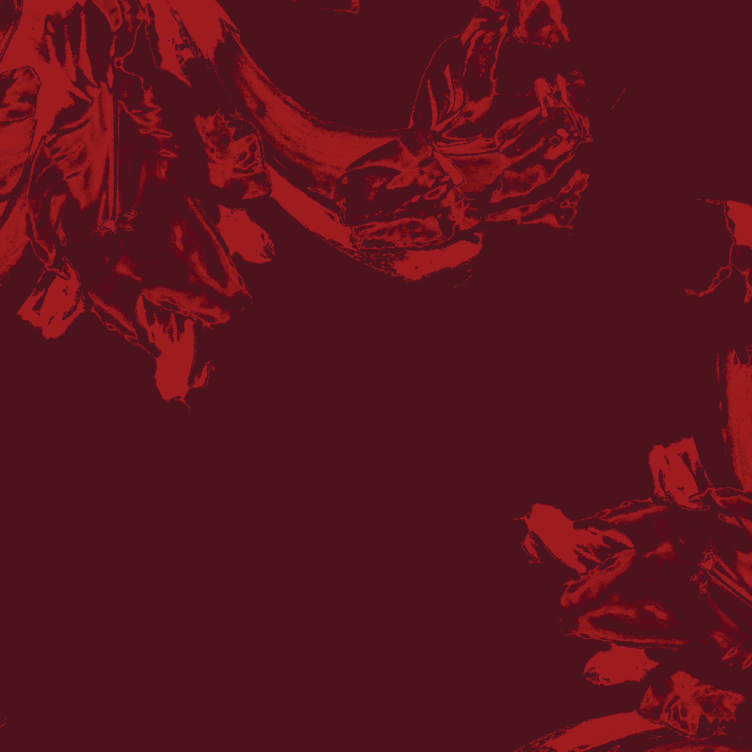 mark.2025.marketing assets_Square_Background1.png