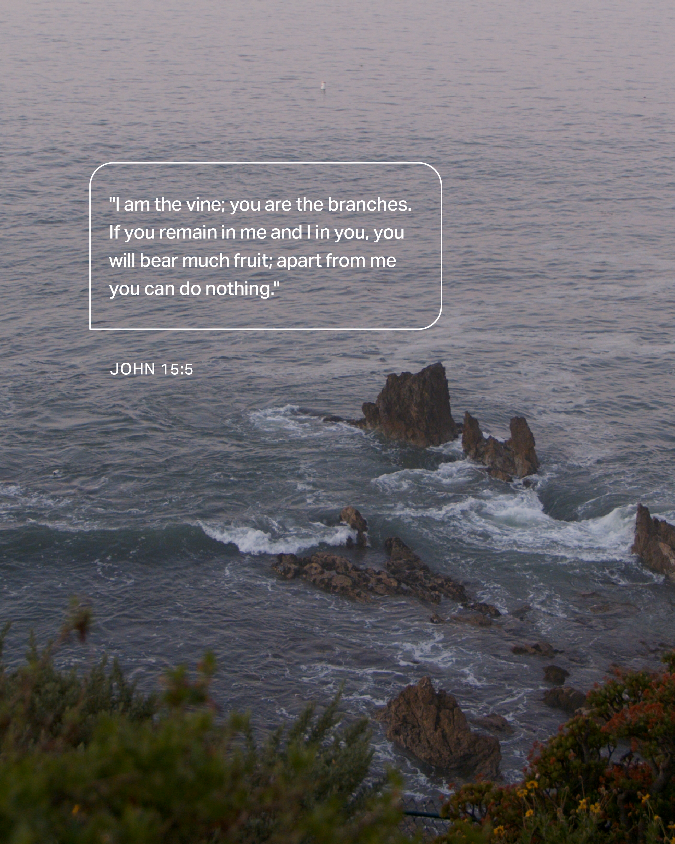 pp.scripturegraphics_Christine-Feed.png