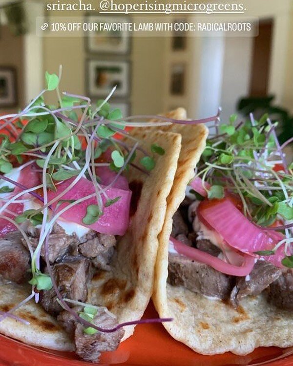 Ideas for using microgreens?  Check out these lamb tacos topped with our microgreens!! 🌱. Looks amazing @laura.radicalroots ! 😍