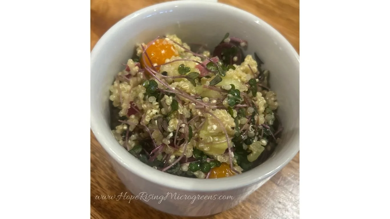 🥗 Recipe Spotlight: Red Cabbage Microgreen & Quinoa Salad