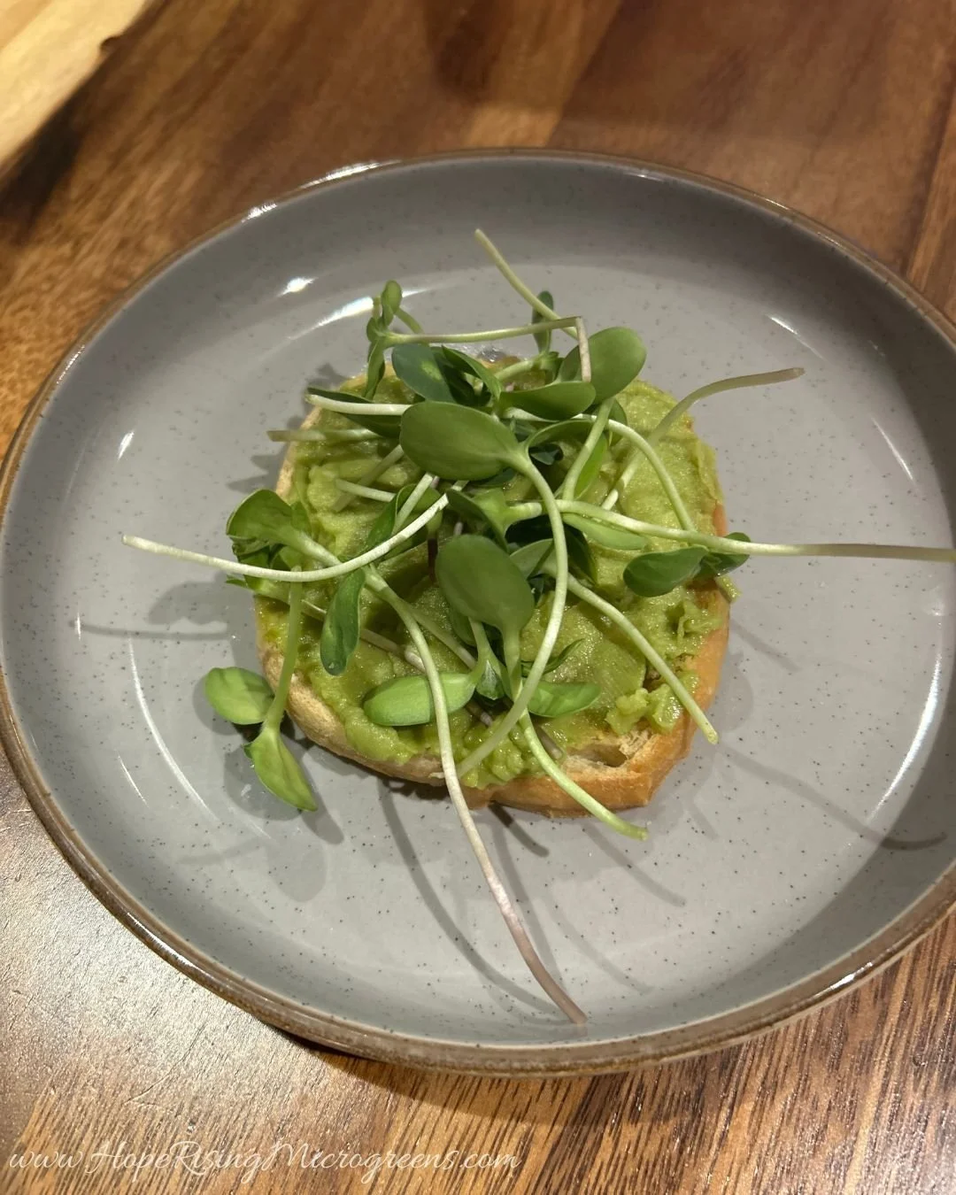 ✨ &ldquo;Level up your avocado toast with a crunchy, protein-packed twist! 🥑🌻 Sunflower microgreens add a nutty flavor and a boost of plant-based protein that takes this breakfast (or snack!) to the next level. Fresh, wholesome, and oh-so satisfyin