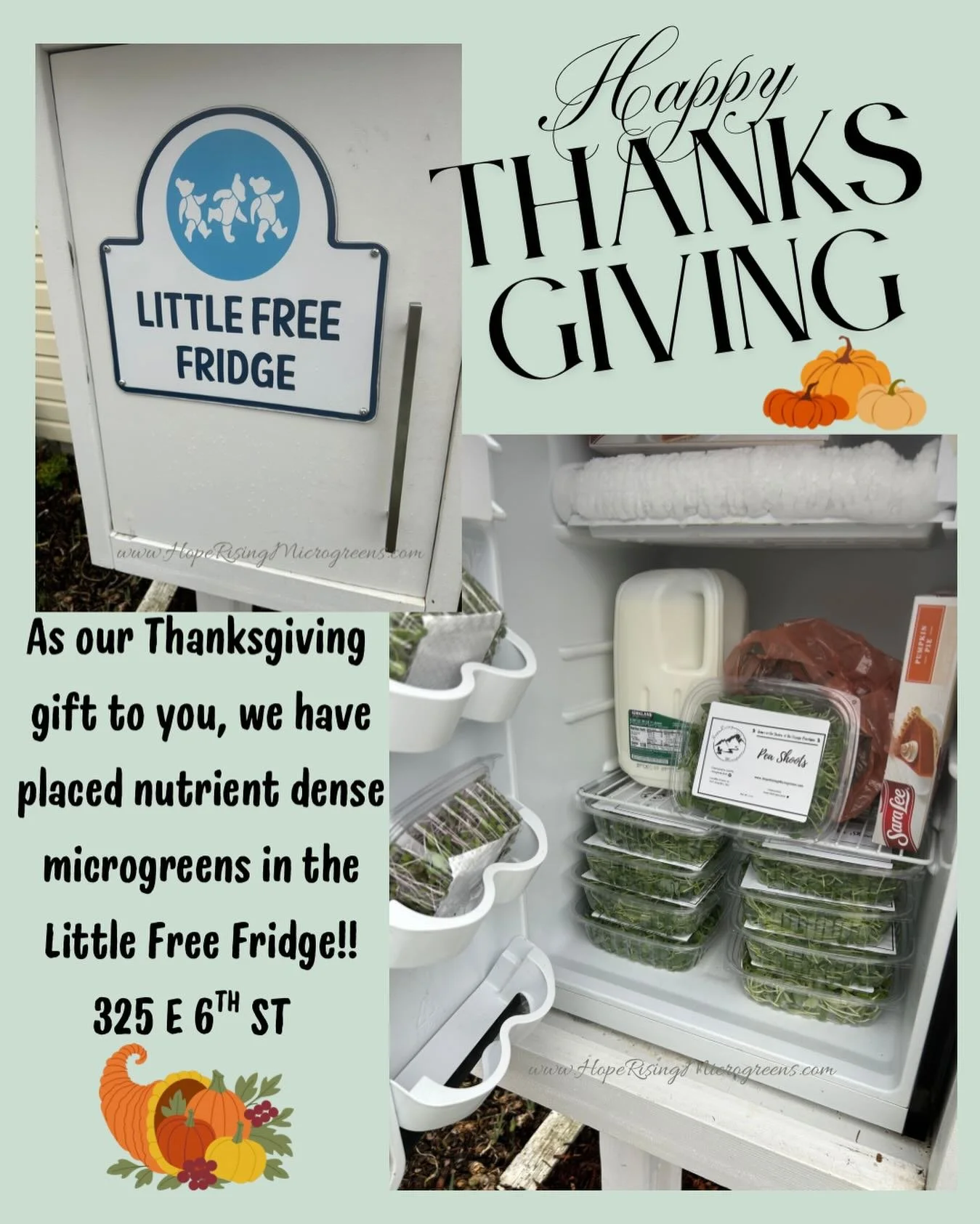 Happy Thanksgiving!! 🍁🦃