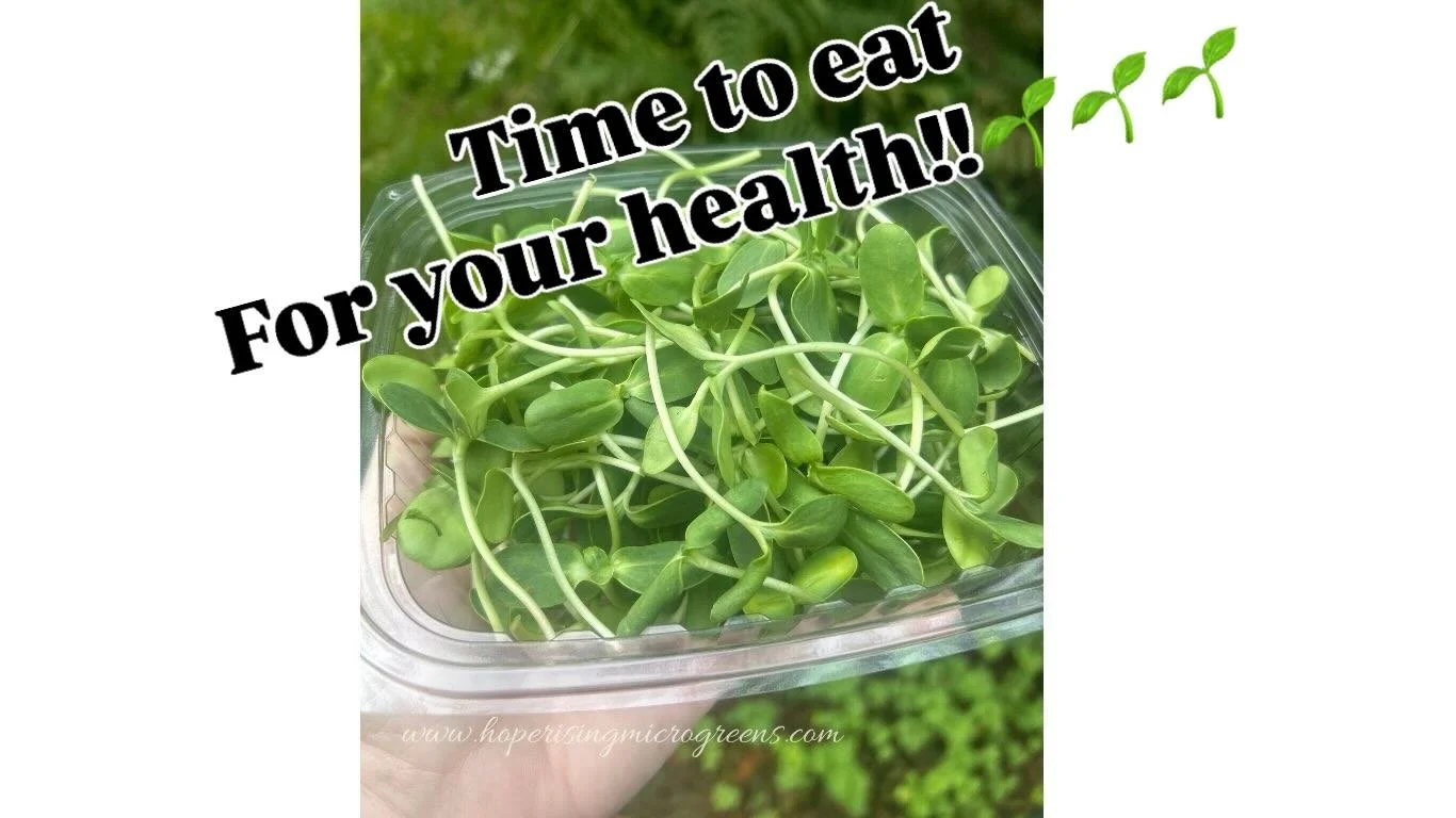 🌱 Hello, New Year. Hello, Fresh Starts. 🌱

As we step into a brand-new year, we&rsquo;re reminded that the smallest things can make the biggest difference.

Microgreens may be tiny, but they&rsquo;re packed with flavor, nutrients, and hope &mdash; 