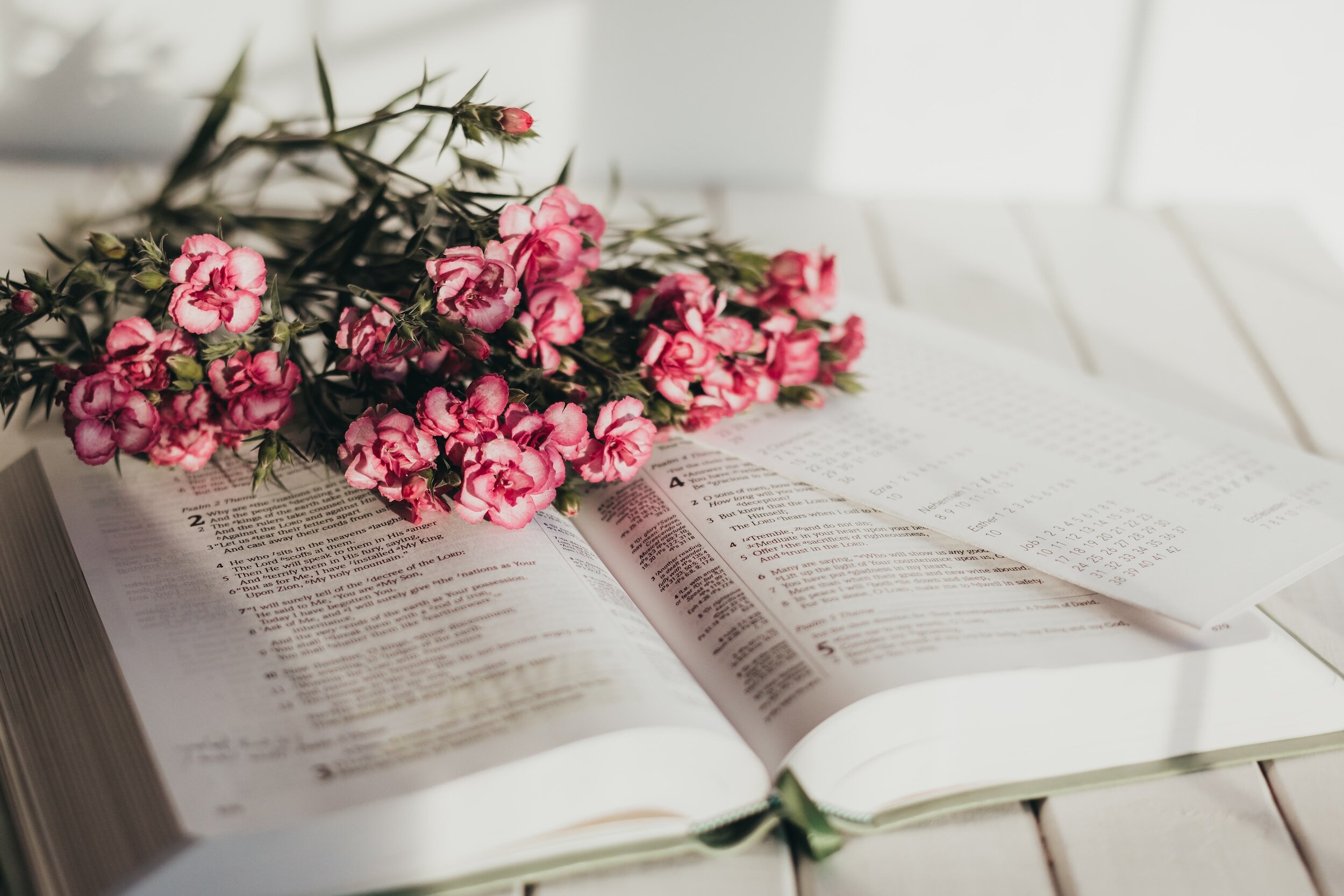 Living Translation