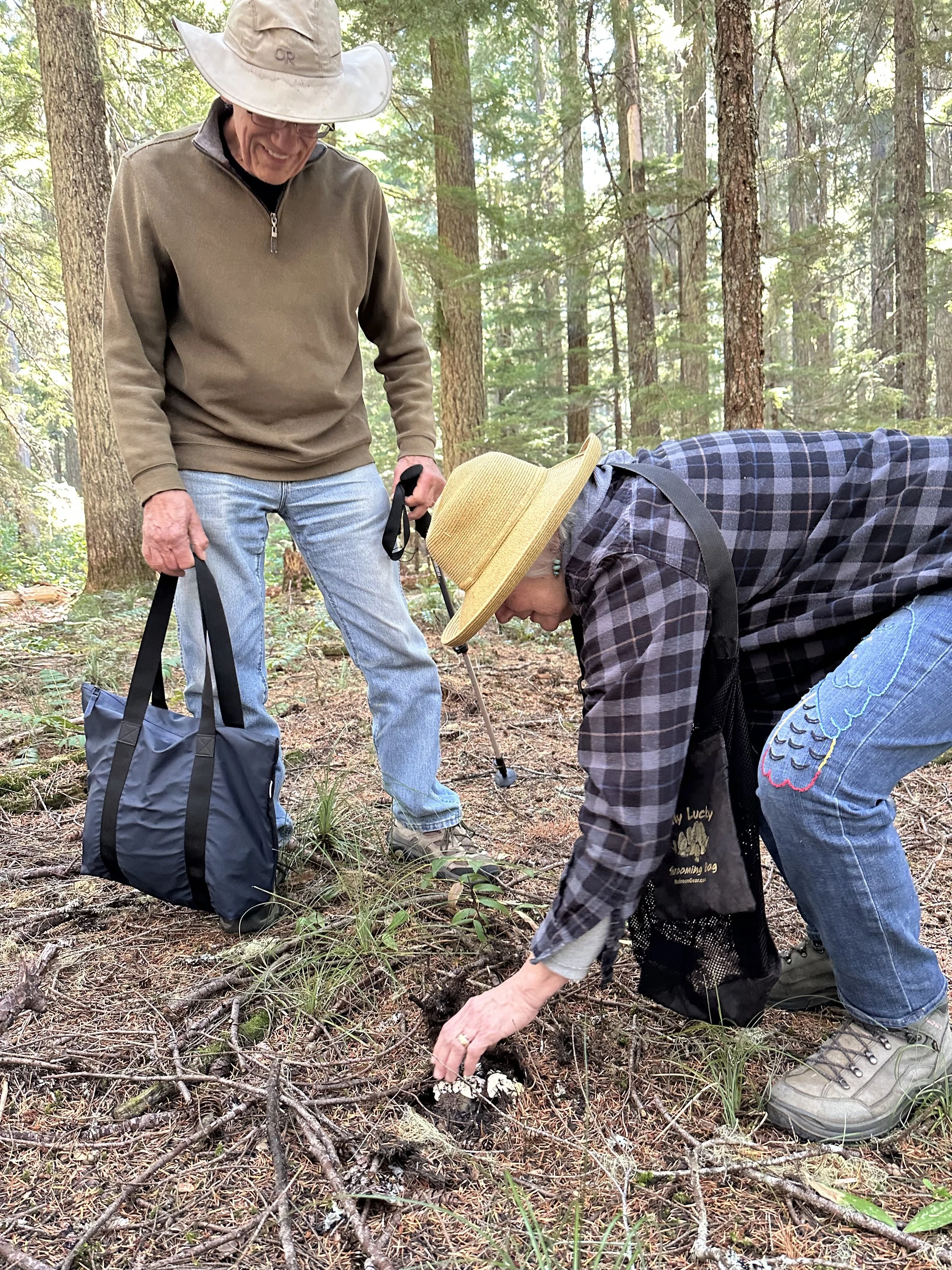 White chaterelle.jpeg