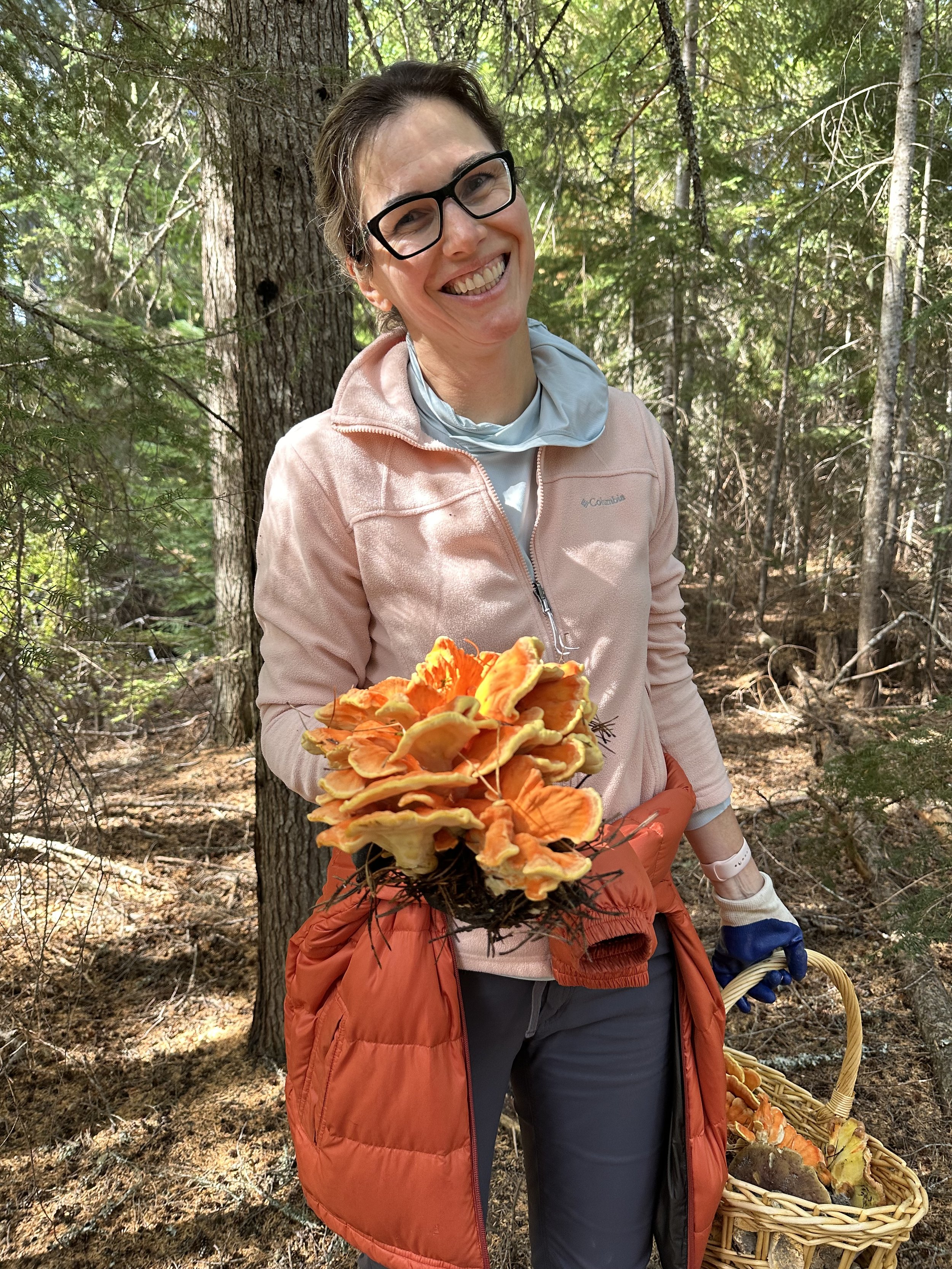 Chicken of the Woods.jpg