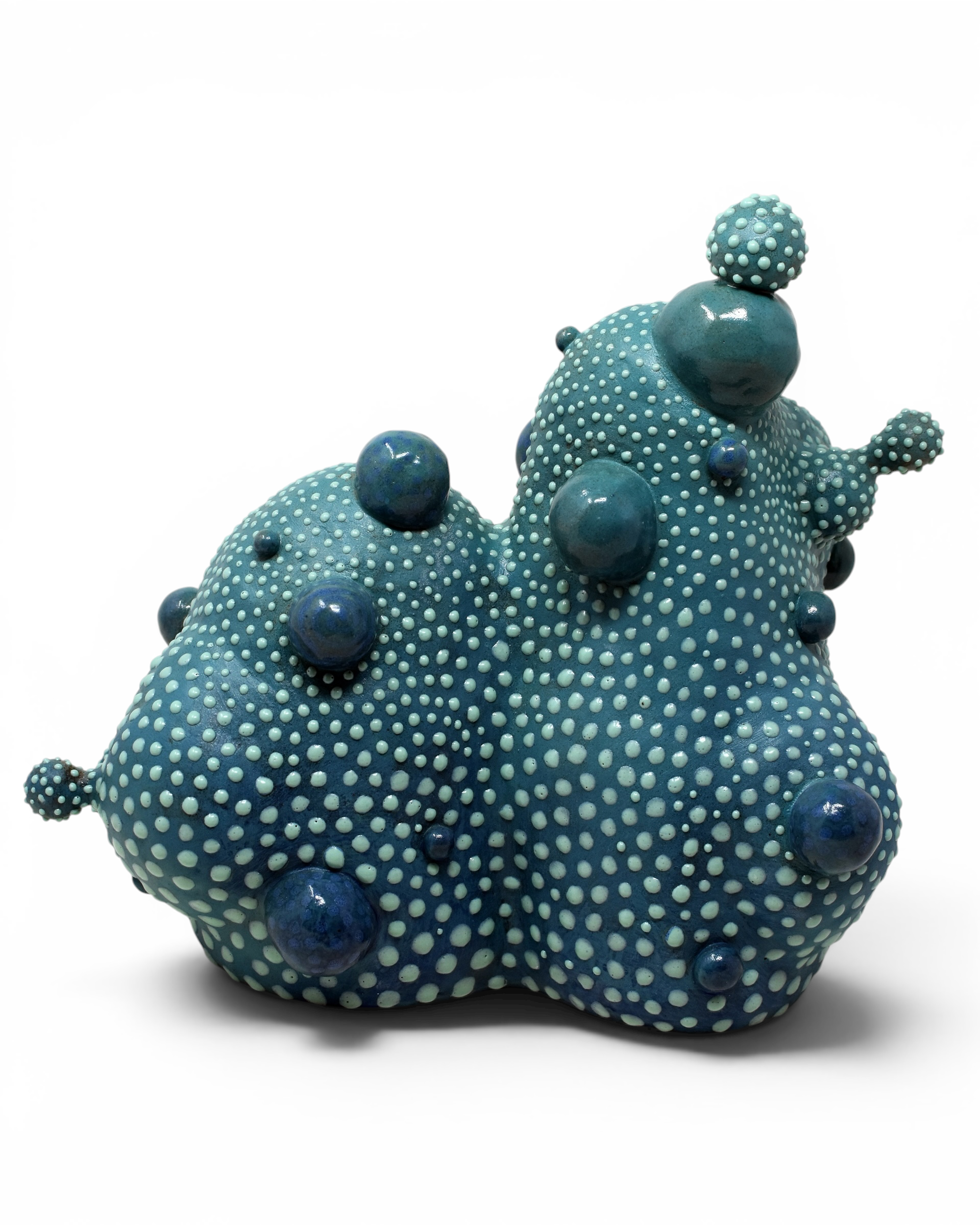 blueguy5-Photoroom.PNG