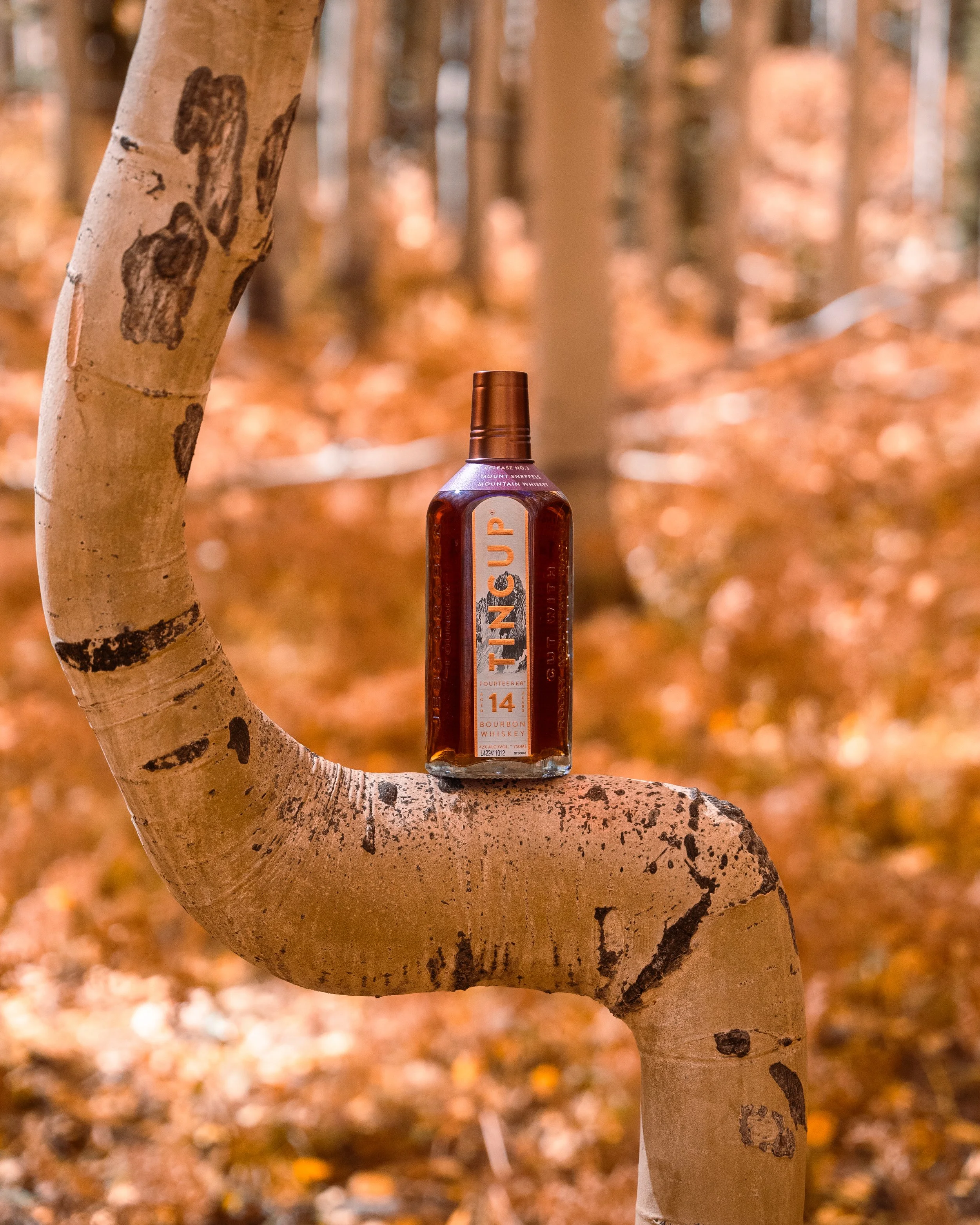 Tincup Sneffels-2.jpg