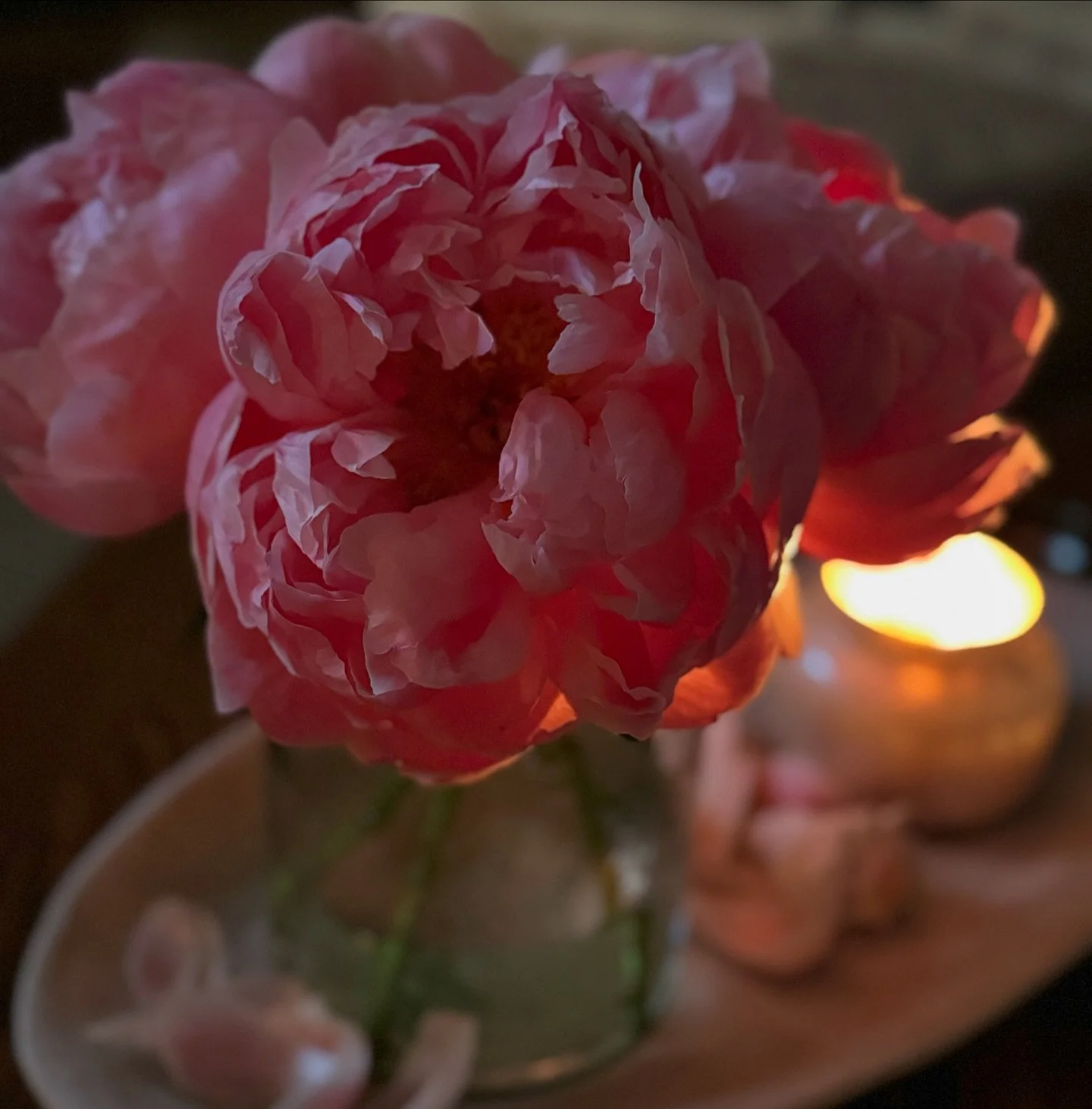 Peonies by candlelight 🩷
.
#peonies #traderjoespeonies #pink #flowers