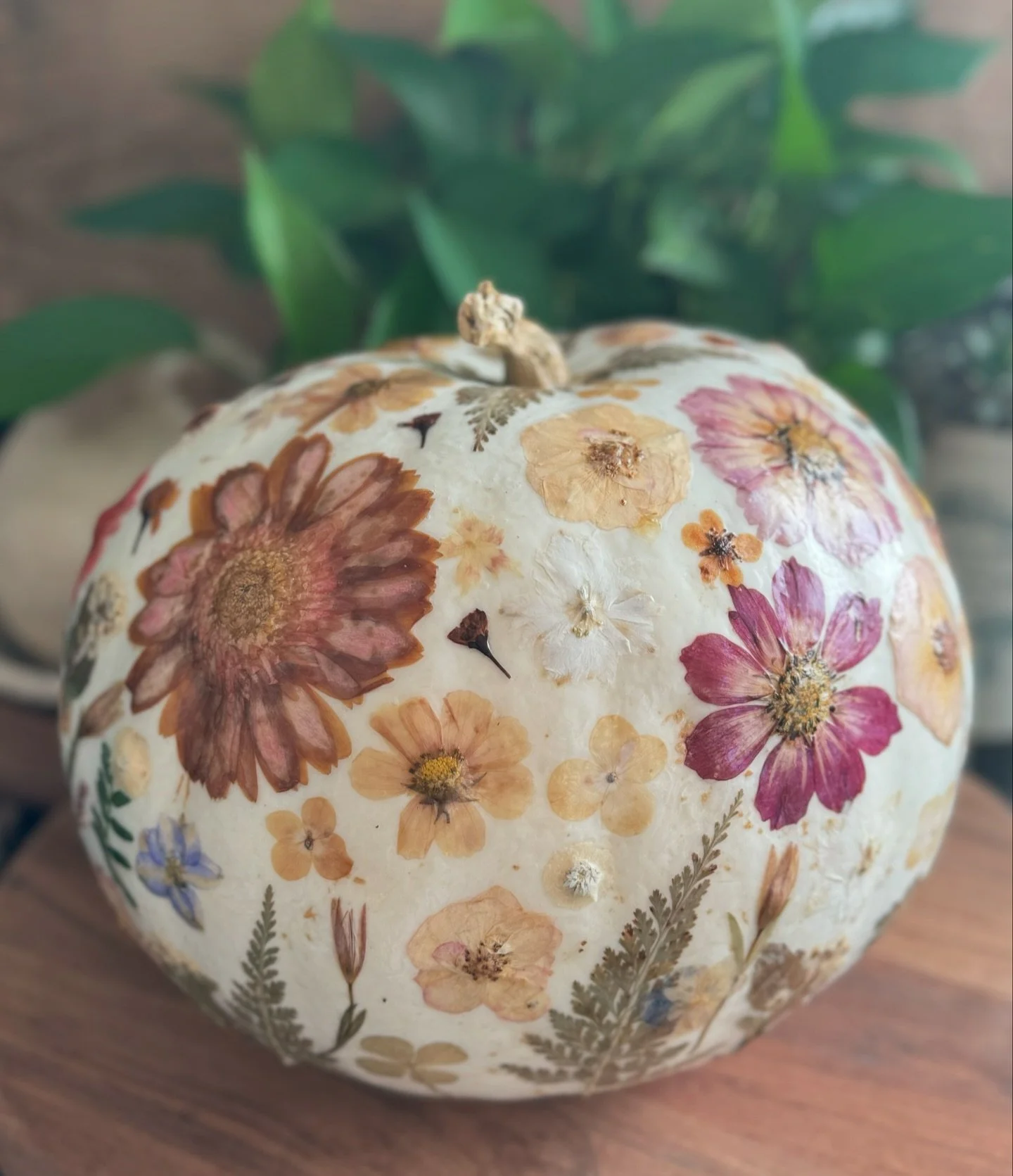Happy Thanksgiving! Love, love, love my white floral pumpkin - so gorgeous! (Yes, it&rsquo;s real!!) You are so talented @lifewithmarlee_  Thank you!!