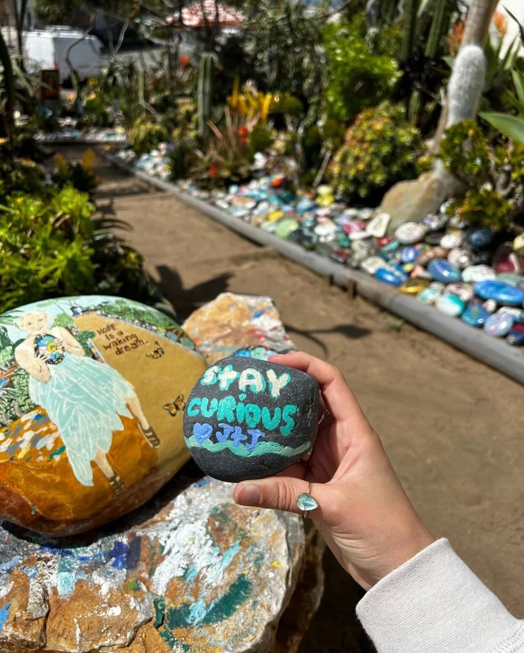 Curiosity is a compass. Where has your curiosity led you? ✨