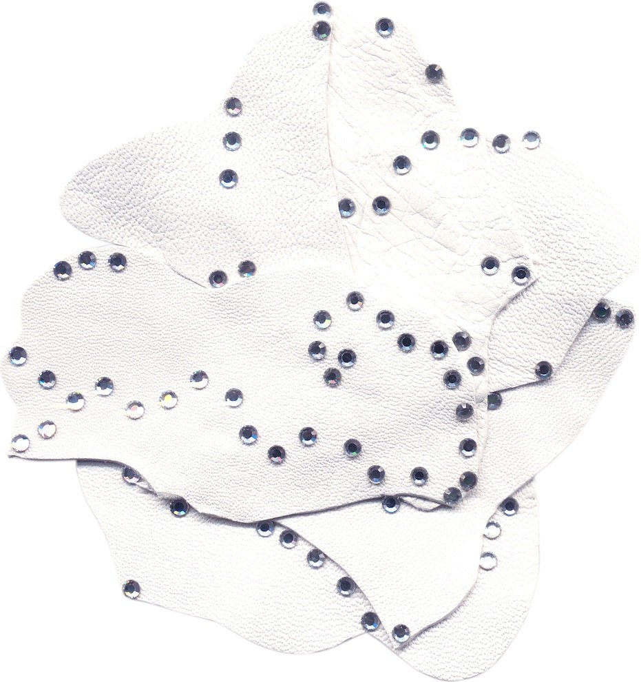 LILY ROSA Wrap Top View White Background