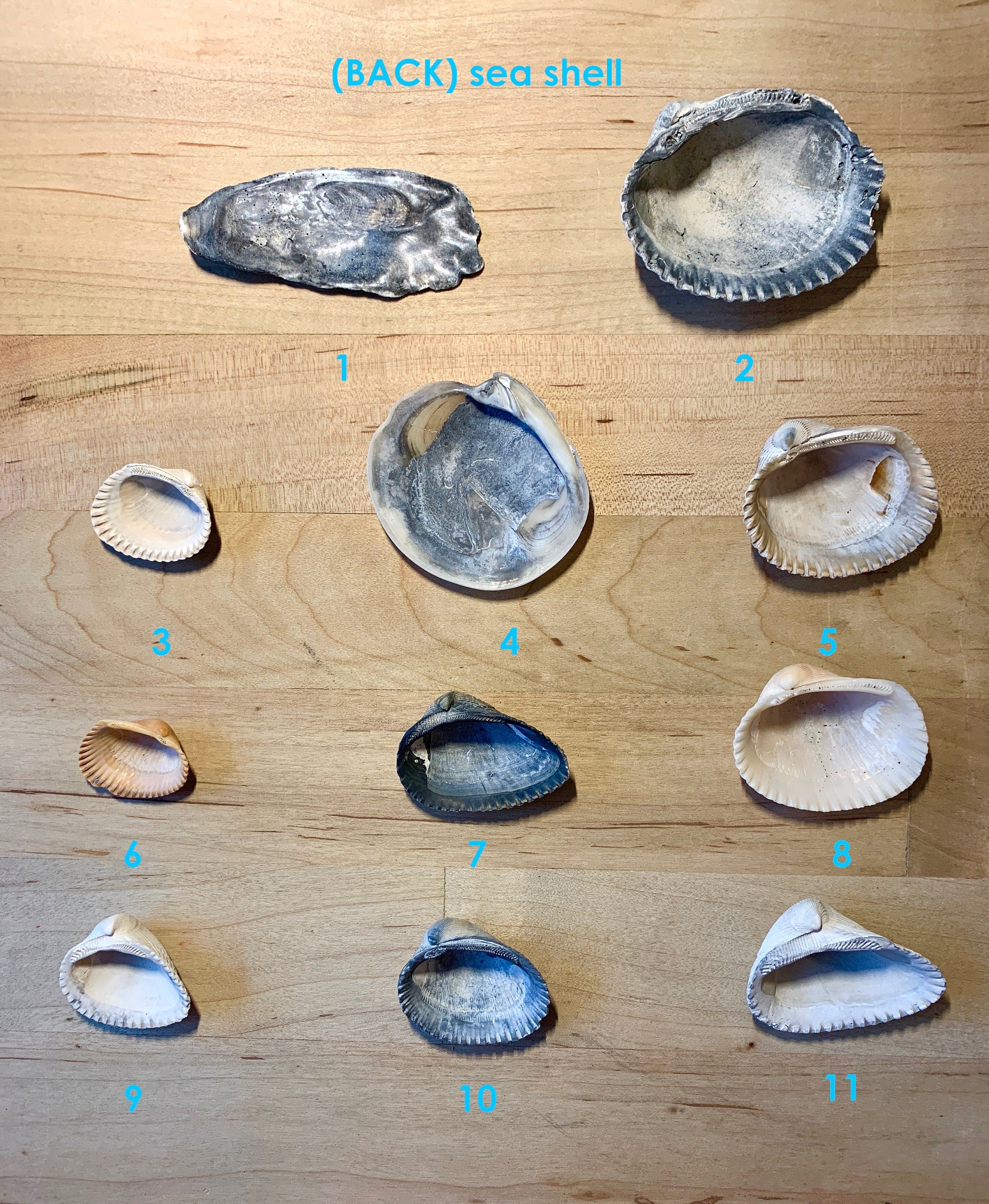 HAVEN Earring Set Material Choices
