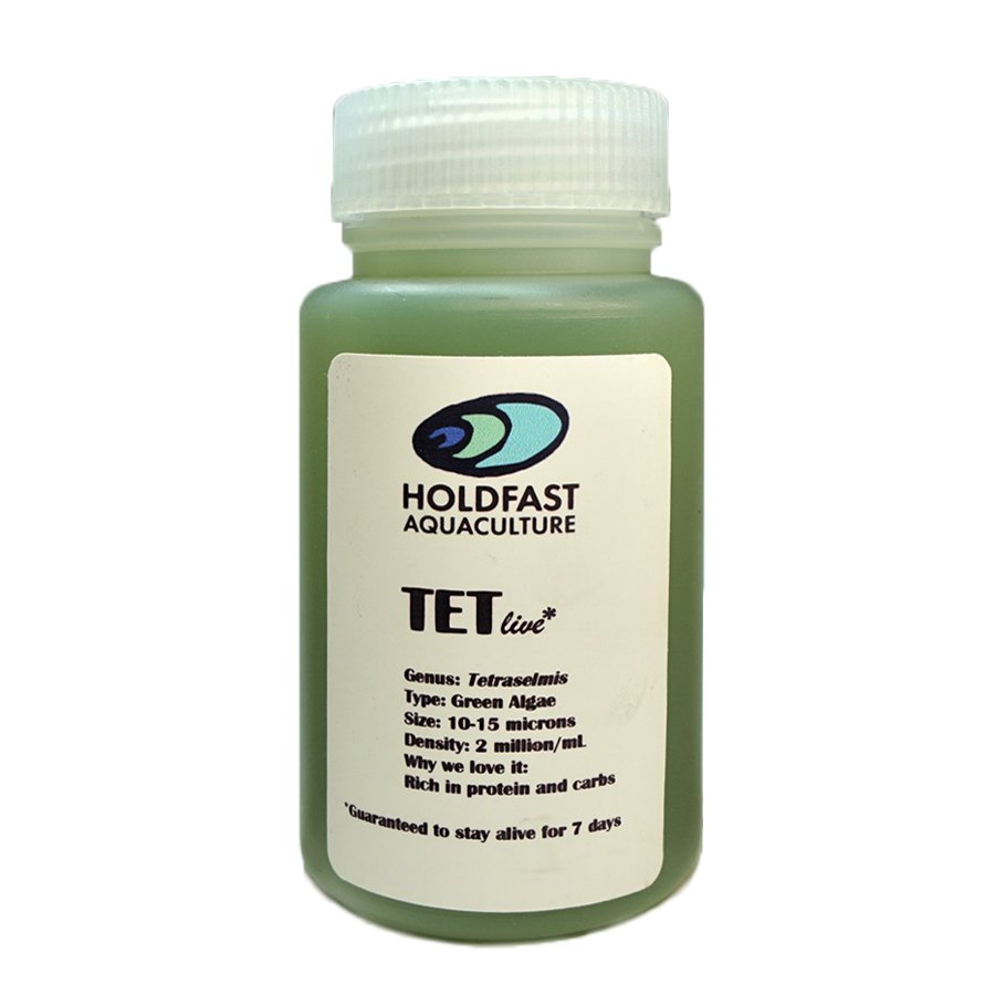 Store 2 — Holdfast Aquaculture
