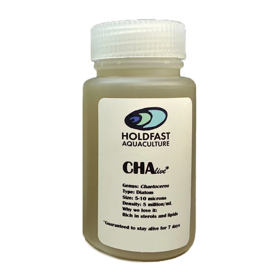 CHA Live — Holdfast Aquaculture