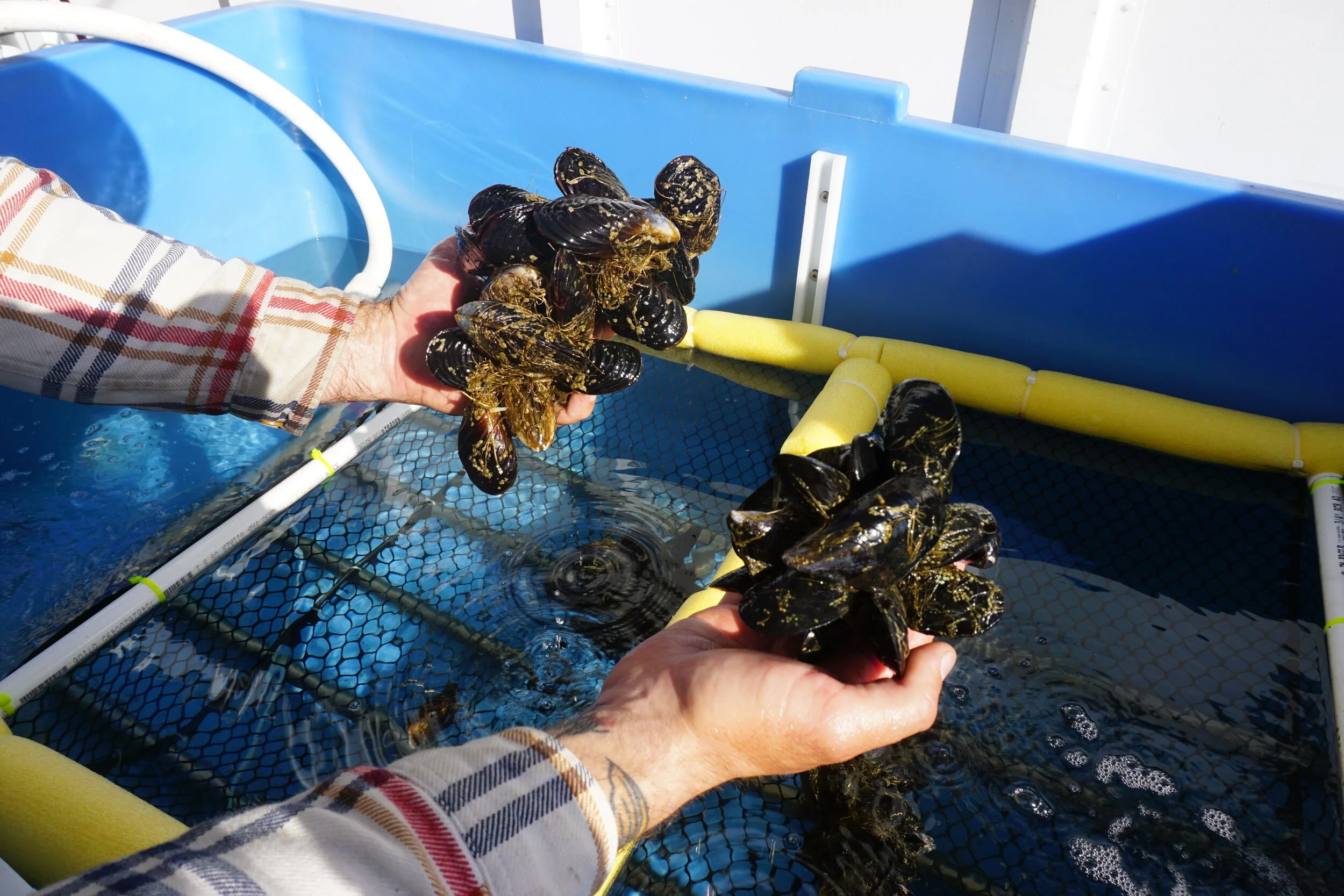 Services 1 — Holdfast Aquaculture