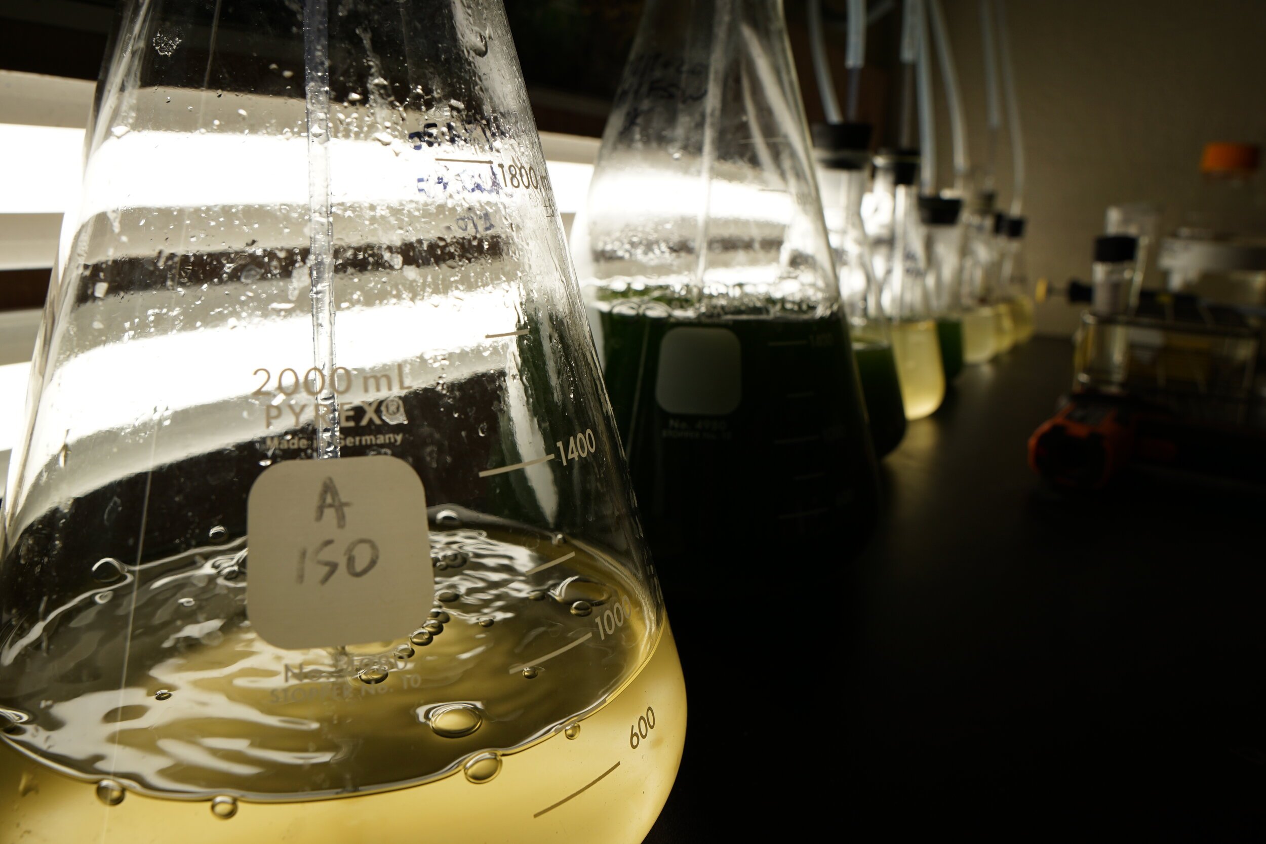 Services 1 — Holdfast Aquaculture