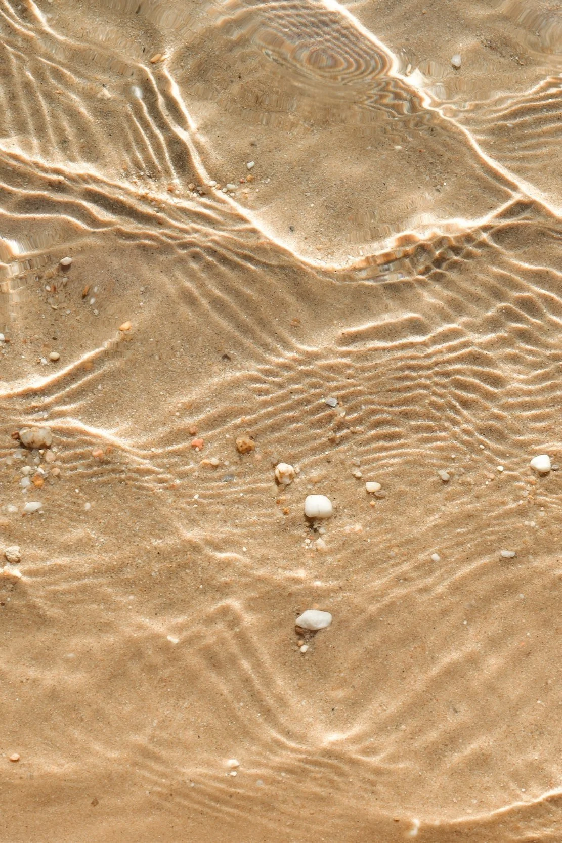 unsplash-image-vvXmOOL2dRE.jpg