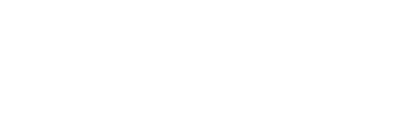 ianusGroup | Strategic Consulting
