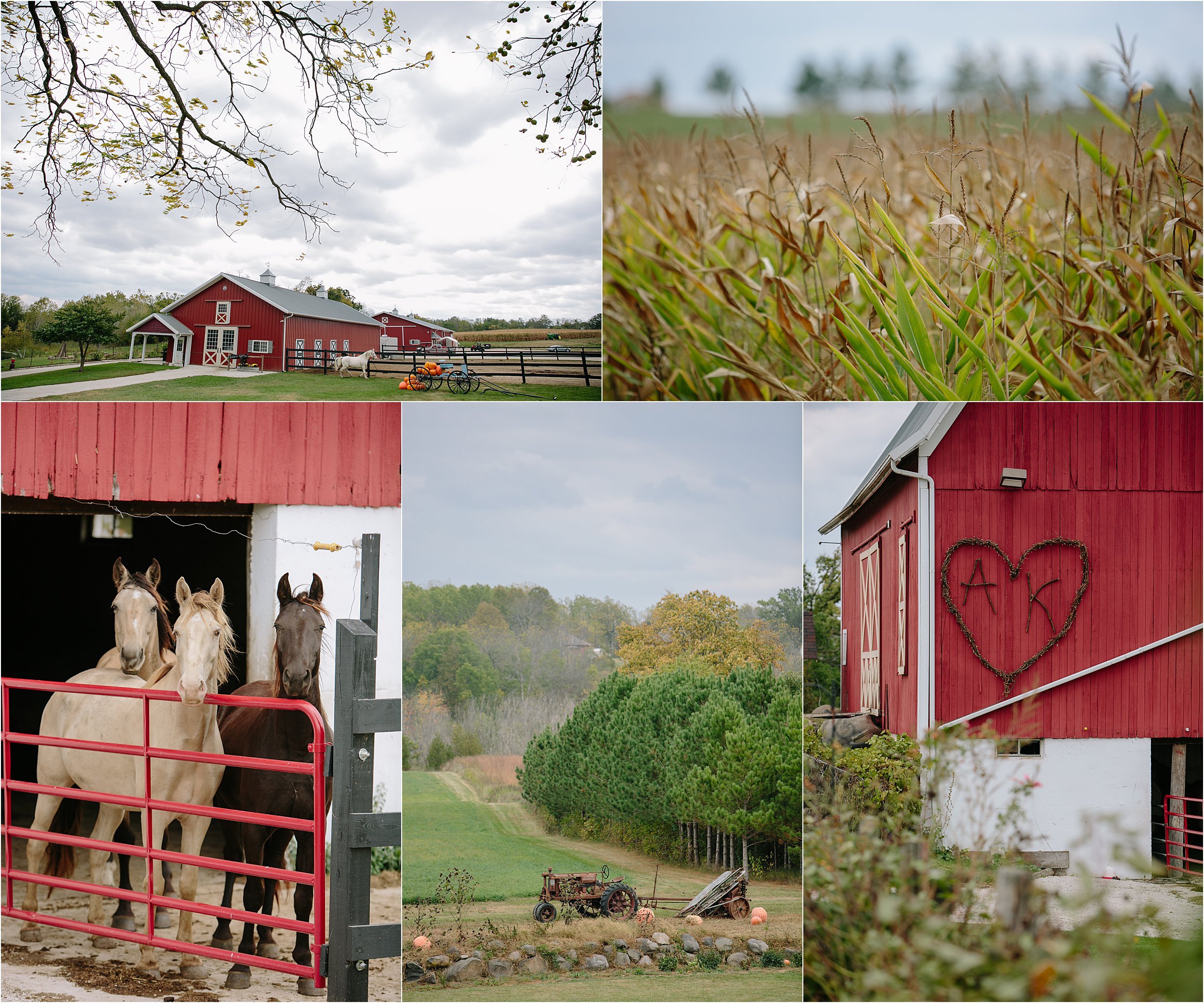 01-red-barn-horses-cornfield.JPG