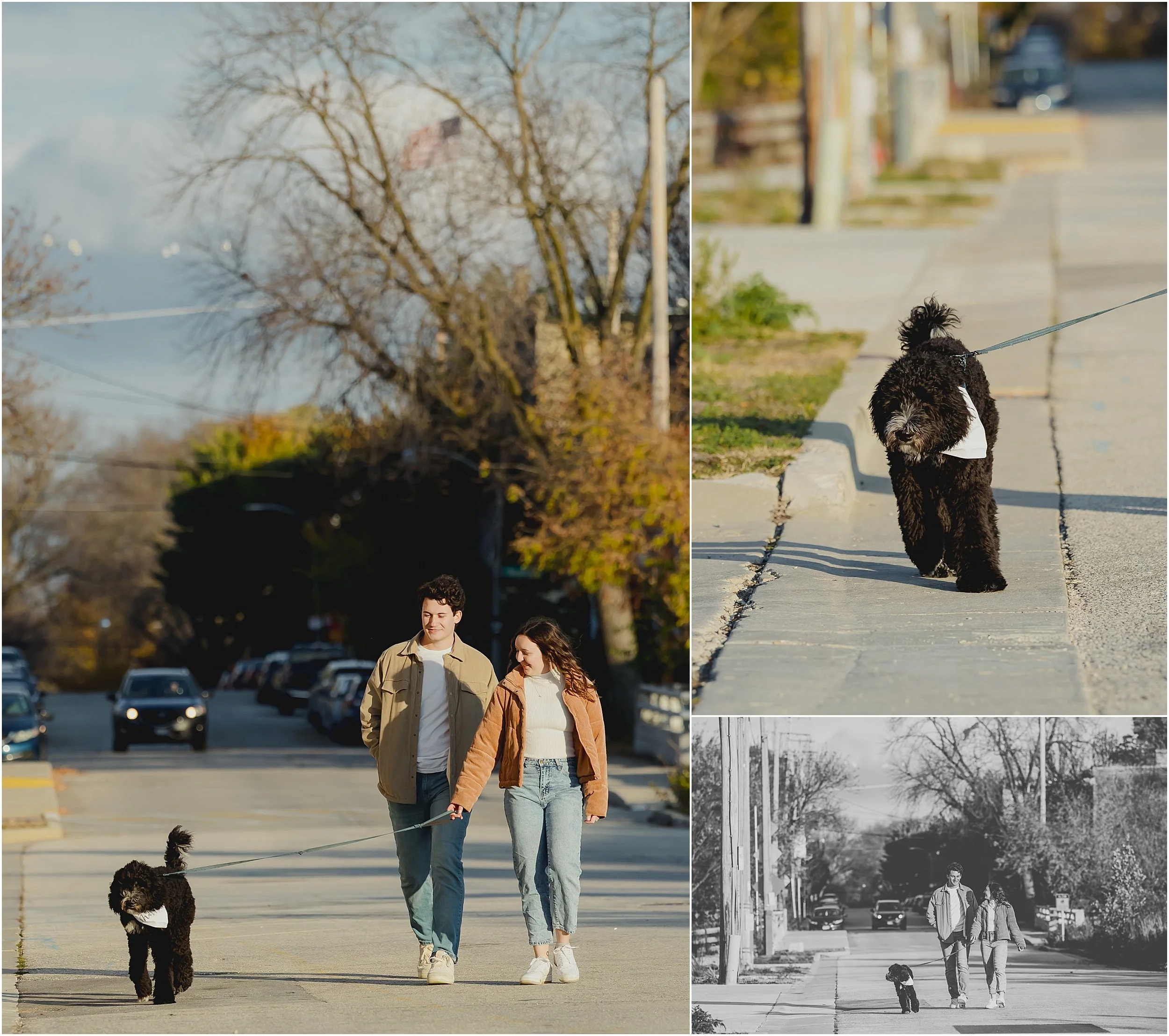 14-fall-engagement-photos-soft-colors-fun-dog-urban-ecology.JPG